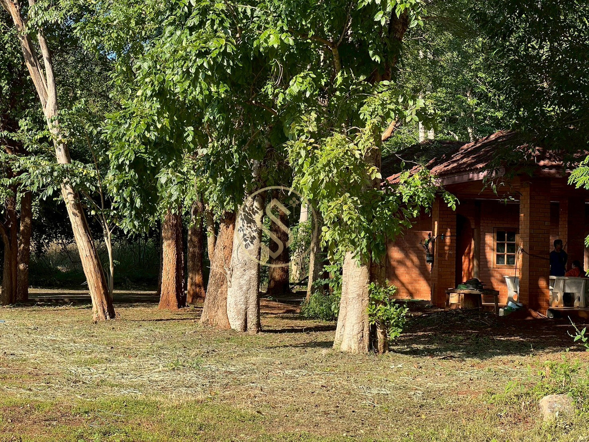 ให้เช่าบ้านปากช่อง เขาใหญ่ : ให้เช่า บ้านเดี่ยวบรรยากาศร่มรื่นเขาใหญ่ ตำบลหมูสี  ทำเลดี ทำการค้าเปิดคาเฟ่ได้ ใกล้ถนนธนรัตน์ พื้นที่ใช้สอยรวม 400 ตารางเมตร 