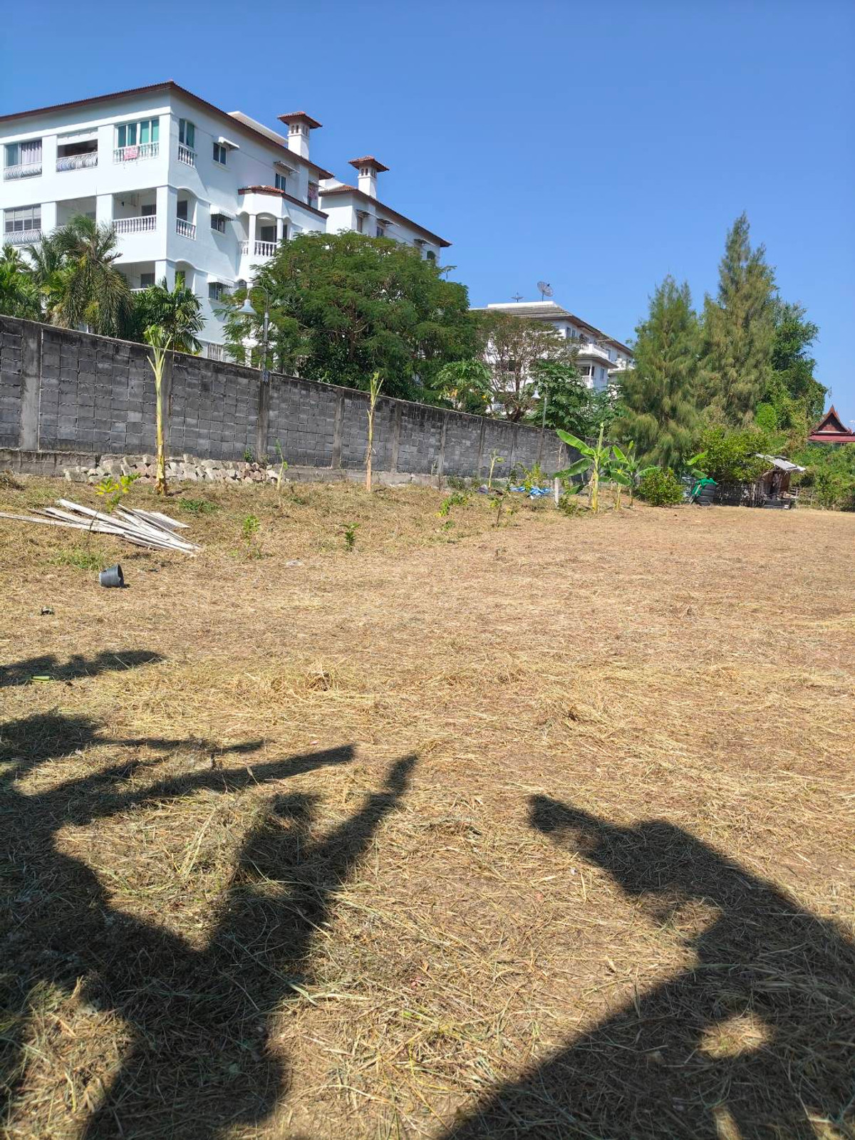 ขายที่ดินพัทยา บางแสน ชลบุรี สัตหีบ : ใกล้หาดจอมเทียน เพียง 2 กม. 🌊 ที่ดิน ถนนชัยพฤกษ์ 3 / 283 ตารางวา (ขาย), Land Chaiyaphruek 3 Road / 283 Square Wa (FOR SALE) AM002