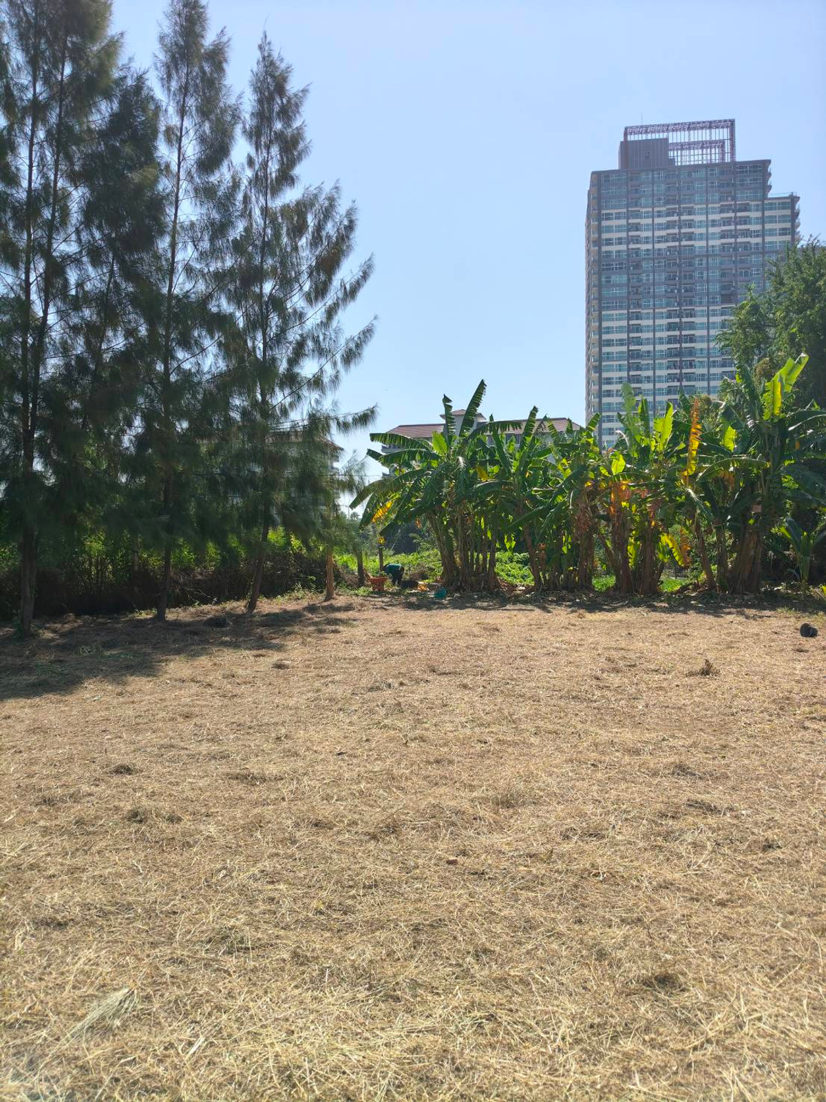 ขายที่ดินพัทยา บางแสน ชลบุรี สัตหีบ : ใกล้หาดจอมเทียน เพียง 2 กม. 🌊 ที่ดิน ถนนชัยพฤกษ์ 3 / 283 ตารางวา (ขาย), Land Chaiyaphruek 3 Road / 283 Square Wa (FOR SALE) AM002