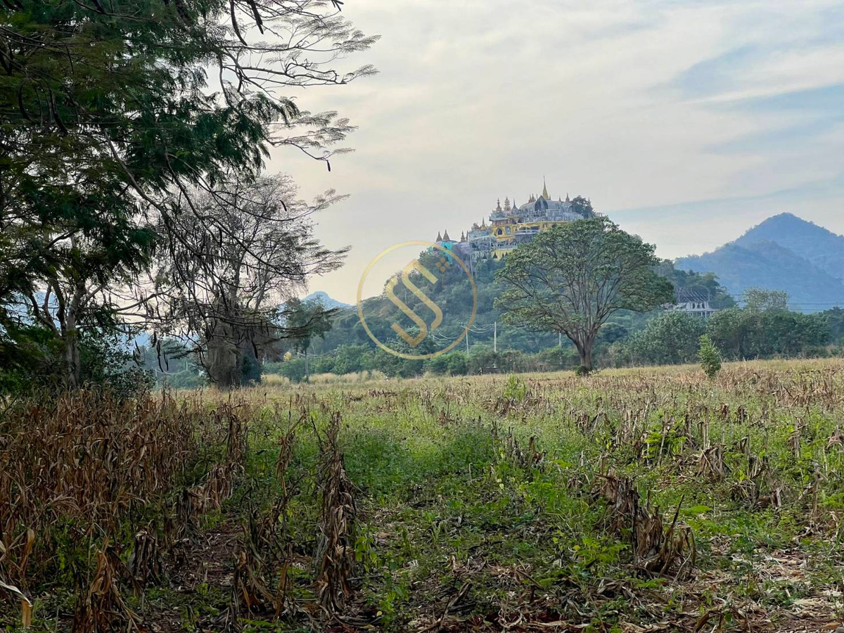 ให้เช่าบ้านปากช่อง เขาใหญ่ : ให้เช่า บ้านเดี่ยวบรรยากาศร่มรื่นเขาใหญ่ ตำบลหมูสี  ทำเลดี ทำการค้าเปิดคาเฟ่ได้ ใกล้ถนนธนรัตน์ พื้นที่ใช้สอยรวม 400 ตารางเมตร 