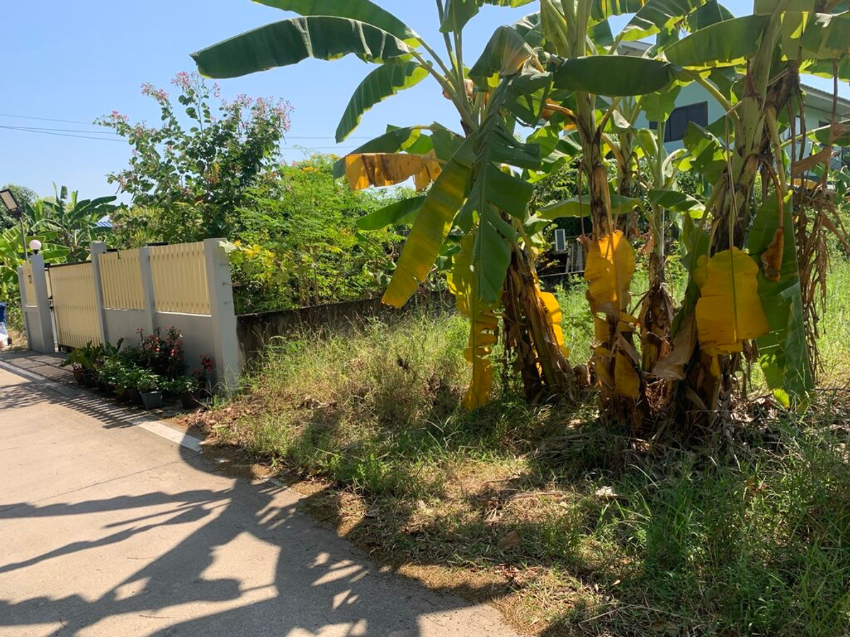 For SaleLandPathum Thani,Rangsit, Thammasat : 🔥 Land for sale, 138.6 sq m, Soi Khlong Hok West 27, near Rajamangala University of Technology Thanyaburi, filled in, ready to transfer.