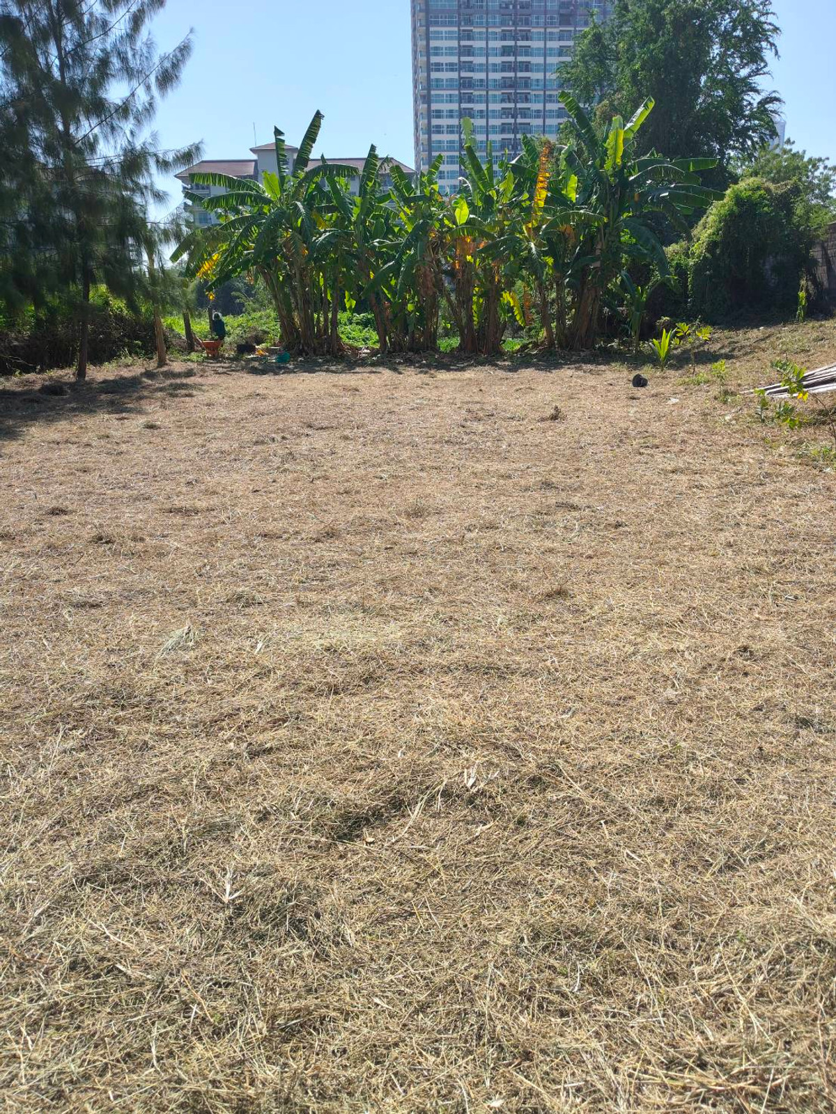 ขายที่ดินพัทยา บางแสน ชลบุรี สัตหีบ : ใกล้หาดจอมเทียน เพียง 2 กม. 🌊 ที่ดิน ถนนชัยพฤกษ์ 3 / 283 ตารางวา (ขาย), Land Chaiyaphruek 3 Road / 283 Square Wa (FOR SALE) AM002