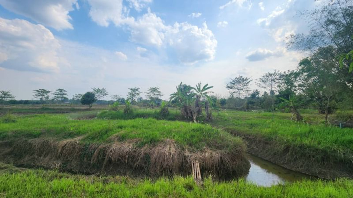 ขายที่ดินนครนายก : 92367 - ขายที่ดินเปล่า อ.ปากพลี จ.นครนายก ขนาด 4 ไร่ 41.9 ตร.ว. หน้ากว้างติดถนน 68 ม. ลึก 134 ม. ถมแล้ว น้ำไฟ เข้าถึง ที่ดินแปลงสวยเหมาะสำหรับลงทุนทำร้านอาหาร คาเฟ่ หรืออยู่อาศัย ติดถนนหลวง 3288