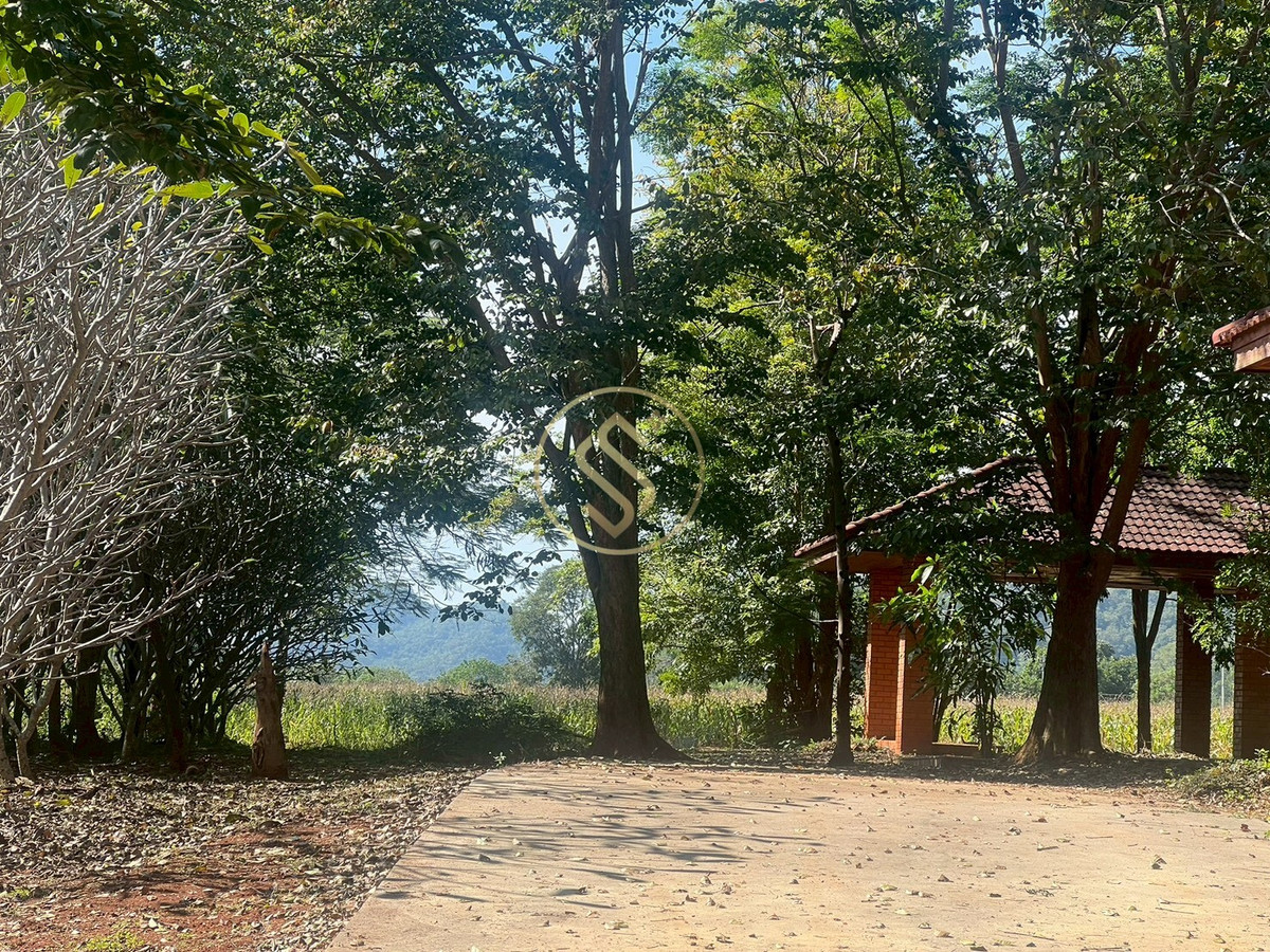 ให้เช่าบ้านปากช่อง เขาใหญ่ : ให้เช่า บ้านเดี่ยวบรรยากาศร่มรื่นเขาใหญ่ ตำบลหมูสี  ทำเลดี ทำการค้าเปิดคาเฟ่ได้ ใกล้ถนนธนรัตน์ พื้นที่ใช้สอยรวม 400 ตารางเมตร 