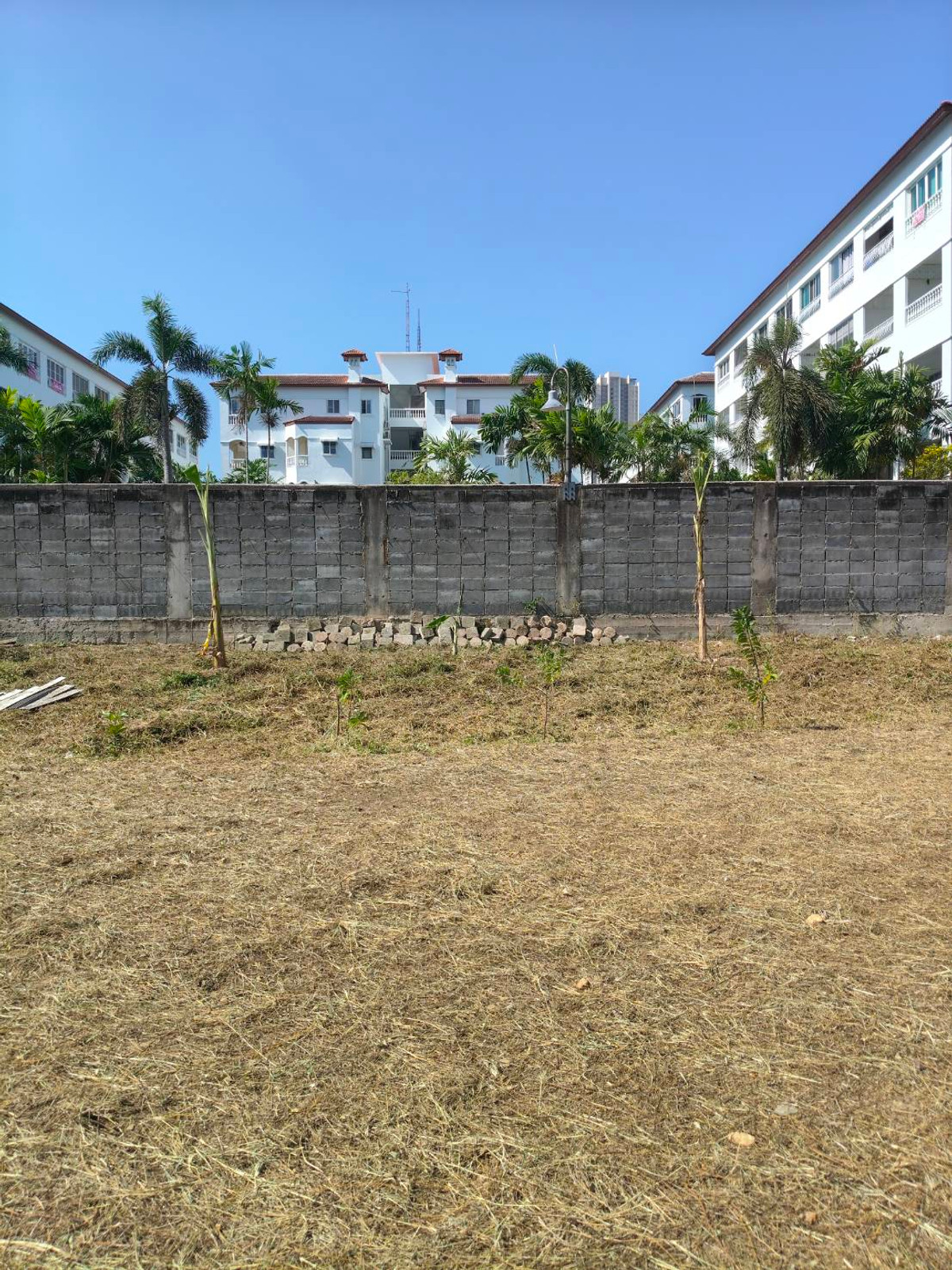 ขายที่ดินพัทยา บางแสน ชลบุรี สัตหีบ : ใกล้หาดจอมเทียน เพียง 2 กม. 🌊 ที่ดิน ถนนชัยพฤกษ์ 3 / 283 ตารางวา (ขาย), Land Chaiyaphruek 3 Road / 283 Square Wa (FOR SALE) AM002