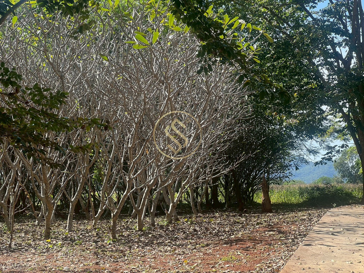 ให้เช่าบ้านปากช่อง เขาใหญ่ : ให้เช่า บ้านเดี่ยวบรรยากาศร่มรื่นเขาใหญ่ ตำบลหมูสี  ทำเลดี ทำการค้าเปิดคาเฟ่ได้ ใกล้ถนนธนรัตน์ พื้นที่ใช้สอยรวม 400 ตารางเมตร 