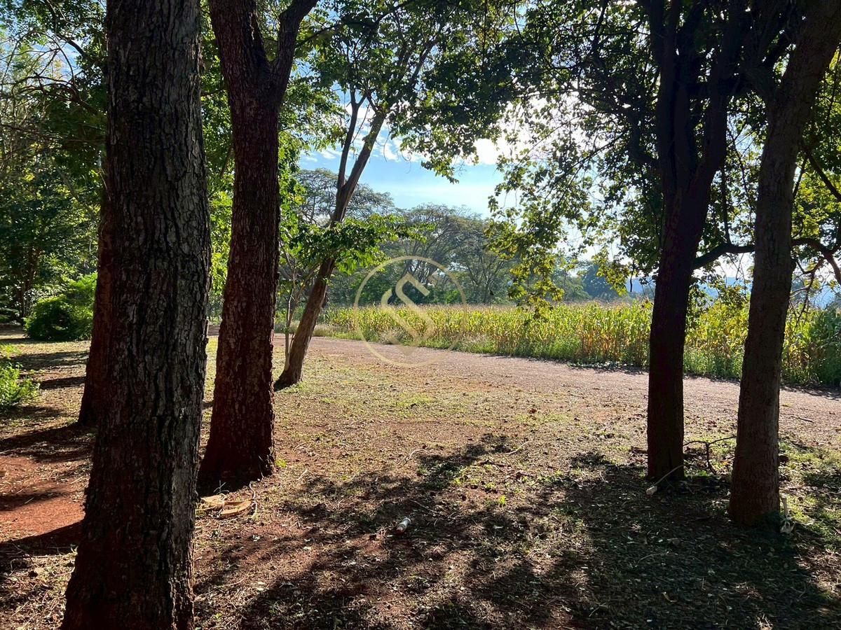 ให้เช่าบ้านปากช่อง เขาใหญ่ : ให้เช่า บ้านเดี่ยวบรรยากาศร่มรื่นเขาใหญ่ ตำบลหมูสี  ทำเลดี ทำการค้าเปิดคาเฟ่ได้ ใกล้ถนนธนรัตน์ พื้นที่ใช้สอยรวม 400 ตารางเมตร 