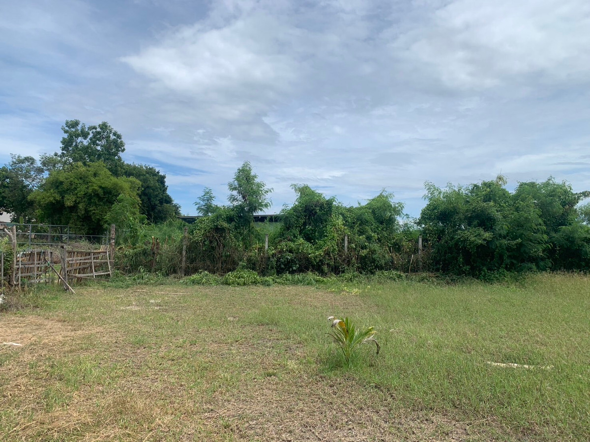 ขายที่ดินพัทยา บางแสน ชลบุรี สัตหีบ : ที่ดินถนนชัยพฤกษ์ 3 / (ขาย), Land Chaiyaphruek 3 Road / (FOR SALE) AM002