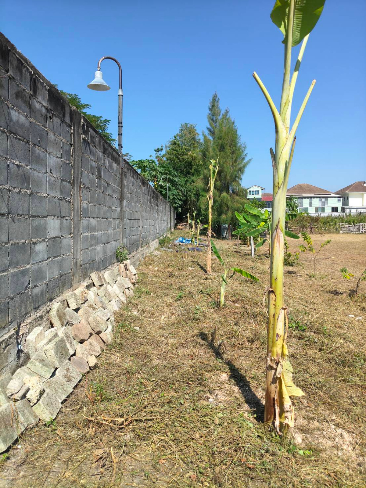 ขายที่ดินพัทยา บางแสน ชลบุรี สัตหีบ : ใกล้หาดจอมเทียน เพียง 2 กม. 🌊 ที่ดิน ถนนชัยพฤกษ์ 3 / 283 ตารางวา (ขาย), Land Chaiyaphruek 3 Road / 283 Square Wa (FOR SALE) AM002