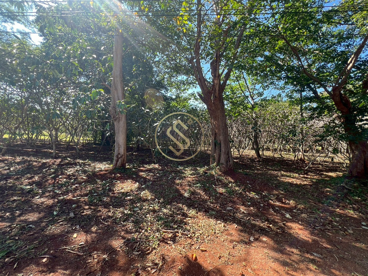 ให้เช่าบ้านปากช่อง เขาใหญ่ : ให้เช่า บ้านเดี่ยวบรรยากาศร่มรื่นเขาใหญ่ ตำบลหมูสี  ทำเลดี ทำการค้าเปิดคาเฟ่ได้ ใกล้ถนนธนรัตน์ พื้นที่ใช้สอยรวม 400 ตารางเมตร 