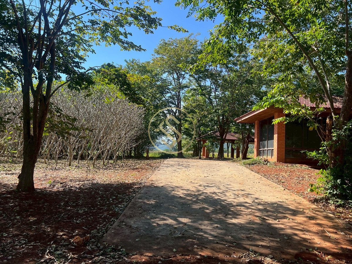 For RentHousePak Chong KhaoYai : Single house for rent, shady atmosphere, Khao Yai, Moo Si Subdistrict, good location, can do business and open a cafe. Near Thanarat Road Total usable area 400 square meters.