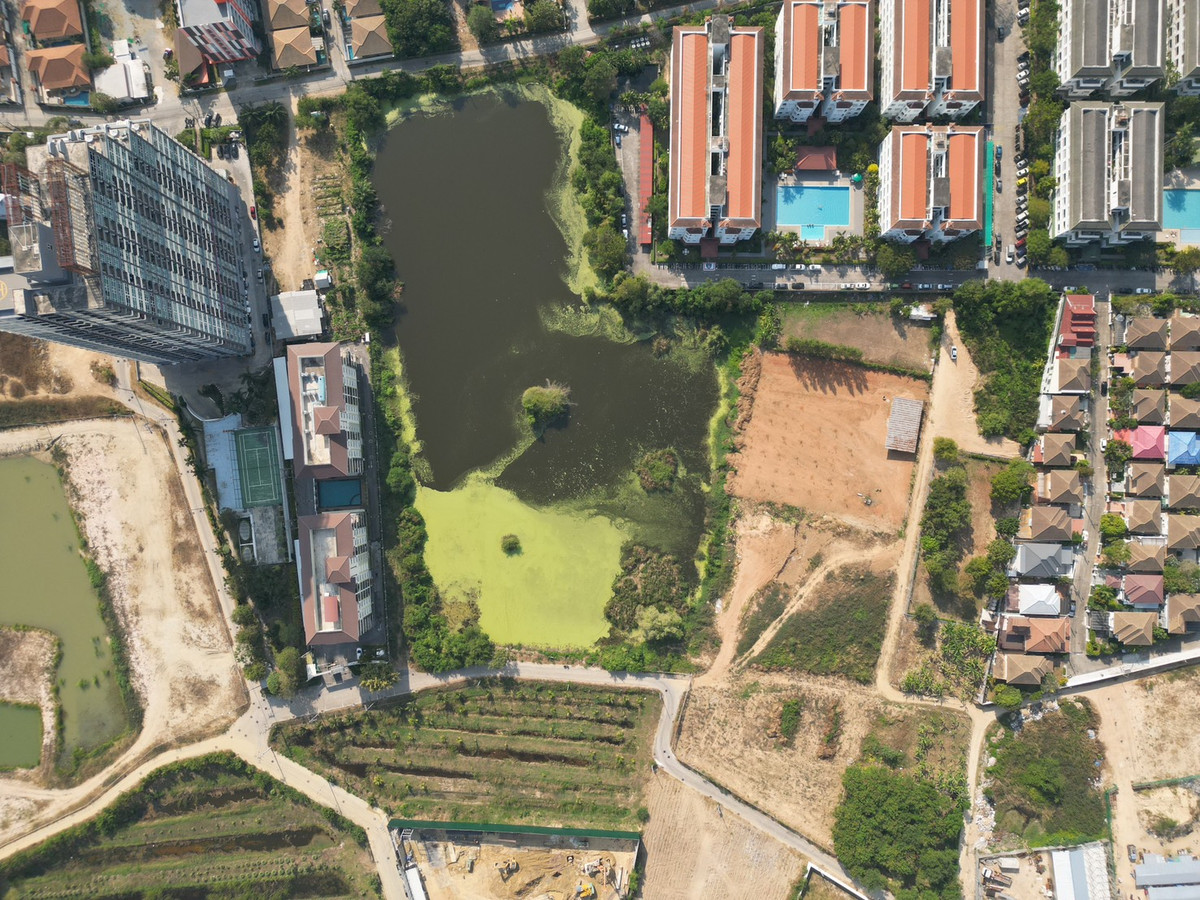 ขายที่ดินพัทยา บางแสน ชลบุรี สัตหีบ : ใกล้หาดจอมเทียน เพียง 2 กม. 🌊 ที่ดิน ถนนชัยพฤกษ์ 3 / 283 ตารางวา (ขาย), Land Chaiyaphruek 3 Road / 283 Square Wa (FOR SALE) AM002