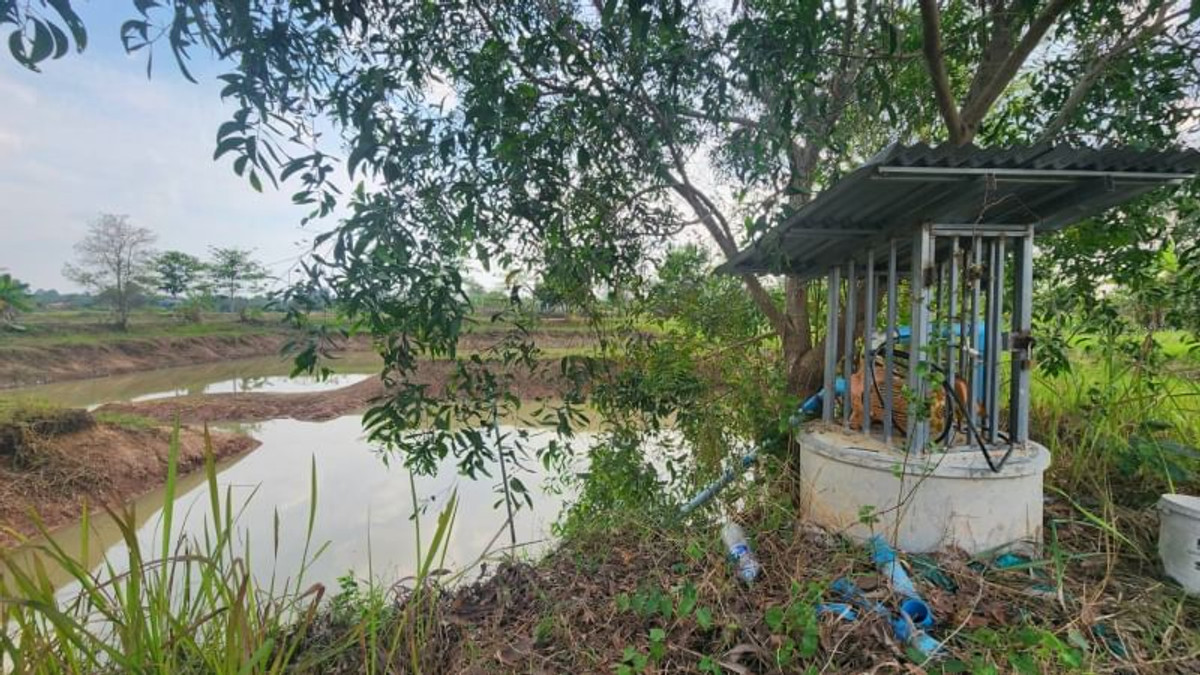 ขายที่ดินนครนายก : 92367 - ขายที่ดินเปล่า อ.ปากพลี จ.นครนายก ขนาด 4 ไร่ 41.9 ตร.ว. หน้ากว้างติดถนน 68 ม. ลึก 134 ม. ถมแล้ว น้ำไฟ เข้าถึง ที่ดินแปลงสวยเหมาะสำหรับลงทุนทำร้านอาหาร คาเฟ่ หรืออยู่อาศัย ติดถนนหลวง 3288