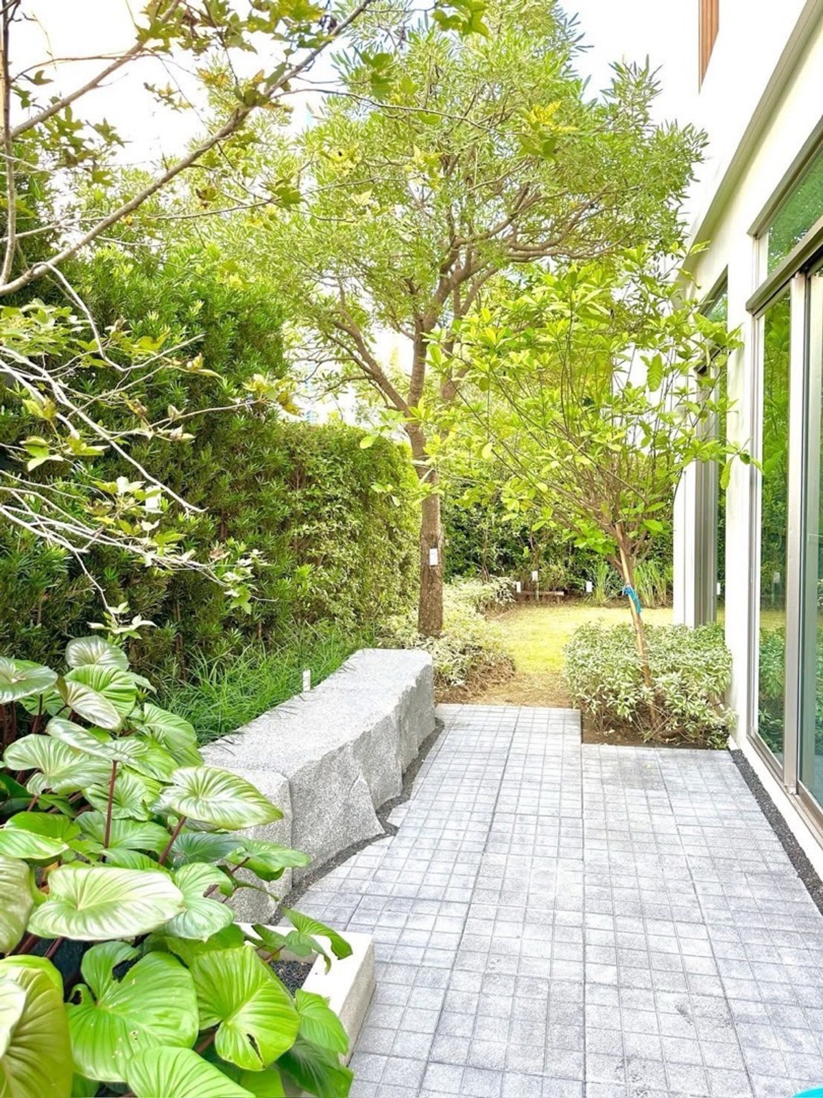 ให้เช่าบ้านพัฒนาการ ศรีนครินทร์ : 📢👇 บ้านหรูสไตล์โมเดิร์นให้เช่า ทำเลศักยภาพโซนกรุงเทพกรีฑา!บ้านหรูในโครงการส่วนตัว บรรยากาศเป็นส่วนตัว พื้นที่กว้าง เพดานสูง และสิ่งอำนวยความสะดวกครบครัน เหมาะสำหรับครอบครัวที่ต้องการความสะดวกสบาย ความเป็นส่วนตัว และการเดินทางเข้าเมืองที่ง่ายดาย