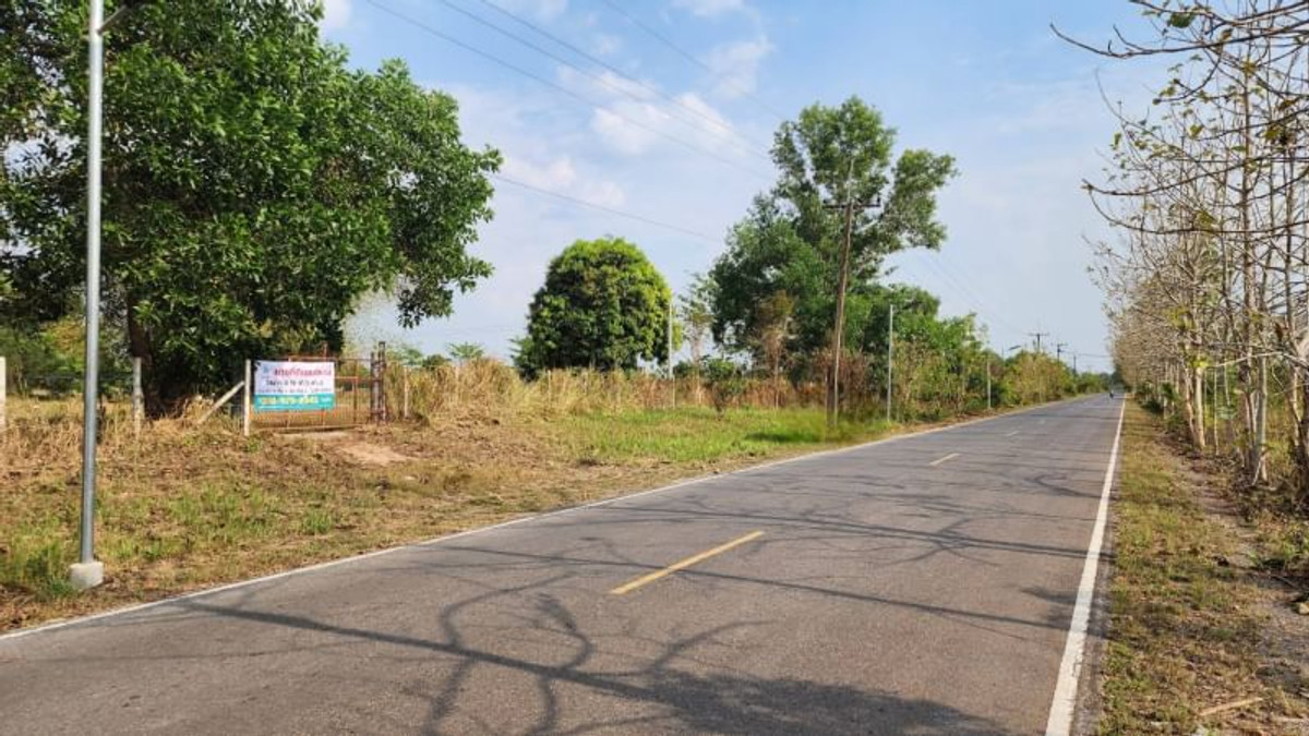 ขายที่ดินนครนายก : 92367 - ขายที่ดินเปล่า อ.ปากพลี จ.นครนายก ขนาด 4 ไร่ 41.9 ตร.ว. หน้ากว้างติดถนน 68 ม. ลึก 134 ม. ถมแล้ว น้ำไฟ เข้าถึง ที่ดินแปลงสวยเหมาะสำหรับลงทุนทำร้านอาหาร คาเฟ่ หรืออยู่อาศัย ติดถนนหลวง 3288