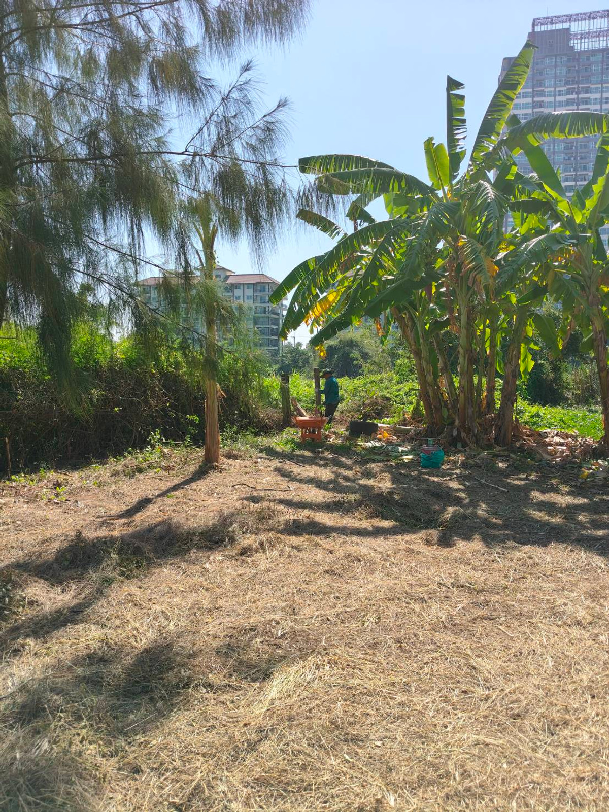 ขายที่ดินพัทยา บางแสน ชลบุรี สัตหีบ : ใกล้หาดจอมเทียน เพียง 2 กม. 🌊 ที่ดิน ถนนชัยพฤกษ์ 3 / 283 ตารางวา (ขาย), Land Chaiyaphruek 3 Road / 283 Square Wa (FOR SALE) AM002