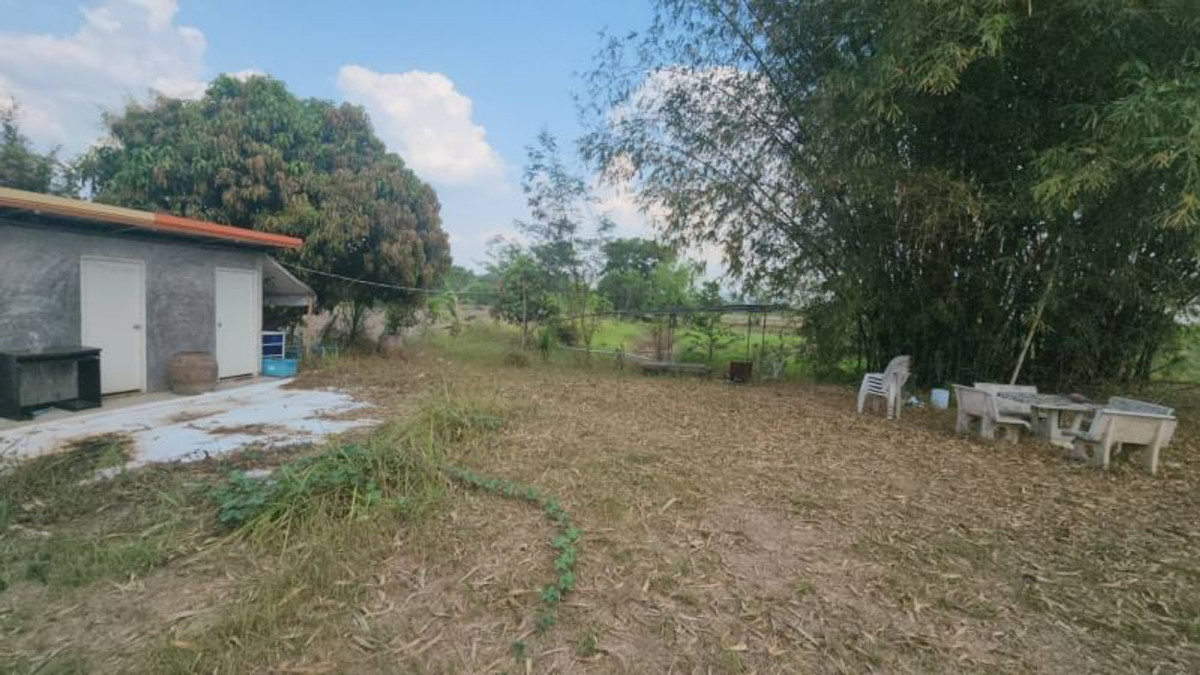 ขายที่ดินนครนายก : 92367 - ขายที่ดินเปล่า อ.ปากพลี จ.นครนายก ขนาด 4 ไร่ 41.9 ตร.ว. หน้ากว้างติดถนน 68 ม. ลึก 134 ม. ถมแล้ว น้ำไฟ เข้าถึง ที่ดินแปลงสวยเหมาะสำหรับลงทุนทำร้านอาหาร คาเฟ่ หรืออยู่อาศัย ติดถนนหลวง 3288