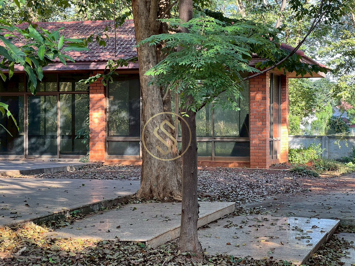 ให้เช่าบ้านปากช่อง เขาใหญ่ : ให้เช่า บ้านเดี่ยวบรรยากาศร่มรื่นเขาใหญ่ ตำบลหมูสี  ทำเลดี ทำการค้าเปิดคาเฟ่ได้ ใกล้ถนนธนรัตน์ พื้นที่ใช้สอยรวม 400 ตารางเมตร 