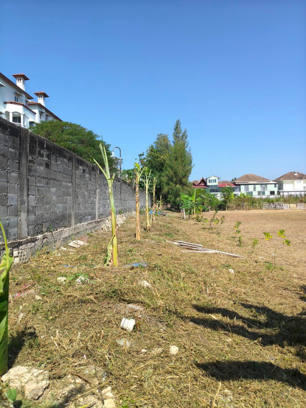 ขายที่ดินพัทยา บางแสน ชลบุรี สัตหีบ : ใกล้หาดจอมเทียน เพียง 2 กม. 🌊 ที่ดิน ถนนชัยพฤกษ์ 3 / 283 ตารางวา (ขาย), Land Chaiyaphruek 3 Road / 283 Square Wa (FOR SALE) AM002