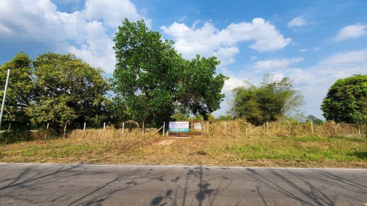 ขายที่ดินนครนายก : 92367 - ขายที่ดินเปล่า อ.ปากพลี จ.นครนายก ขนาด 4 ไร่ 41.9 ตร.ว. หน้ากว้างติดถนน 68 ม. ลึก 134 ม. ถมแล้ว น้ำไฟ เข้าถึง ที่ดินแปลงสวยเหมาะสำหรับลงทุนทำร้านอาหาร คาเฟ่ หรืออยู่อาศัย ติดถนนหลวง 3288