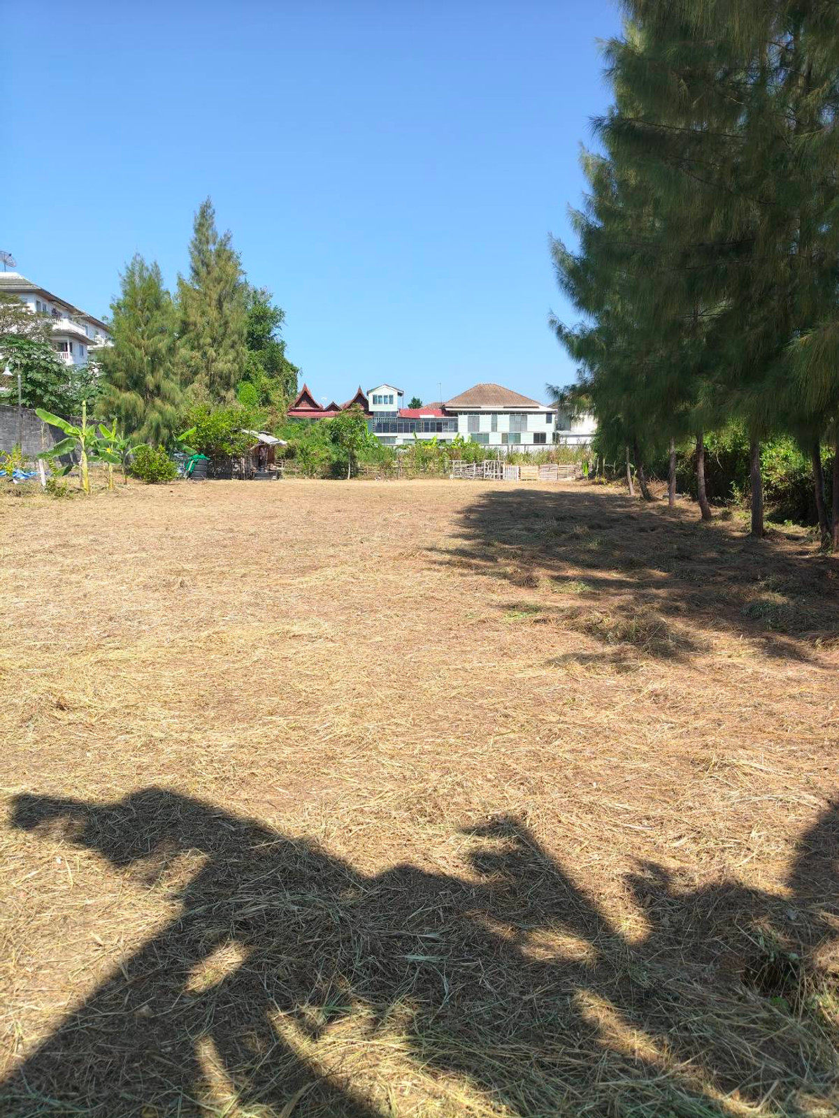 For SaleLandPattaya, Bangsaen, Chonburi : Near Jomtien Beach, just 2 km away 🌊 Land on Chaiyaphruek 3 Road / 283 square wa (FOR SALE) AM002