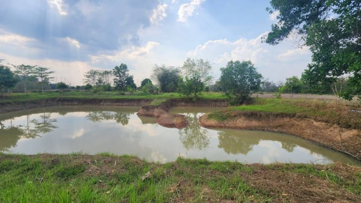 ขายที่ดินนครนายก : 92367 - ขายที่ดินเปล่า อ.ปากพลี จ.นครนายก ขนาด 4 ไร่ 41.9 ตร.ว. หน้ากว้างติดถนน 68 ม. ลึก 134 ม. ถมแล้ว น้ำไฟ เข้าถึง ที่ดินแปลงสวยเหมาะสำหรับลงทุนทำร้านอาหาร คาเฟ่ หรืออยู่อาศัย ติดถนนหลวง 3288