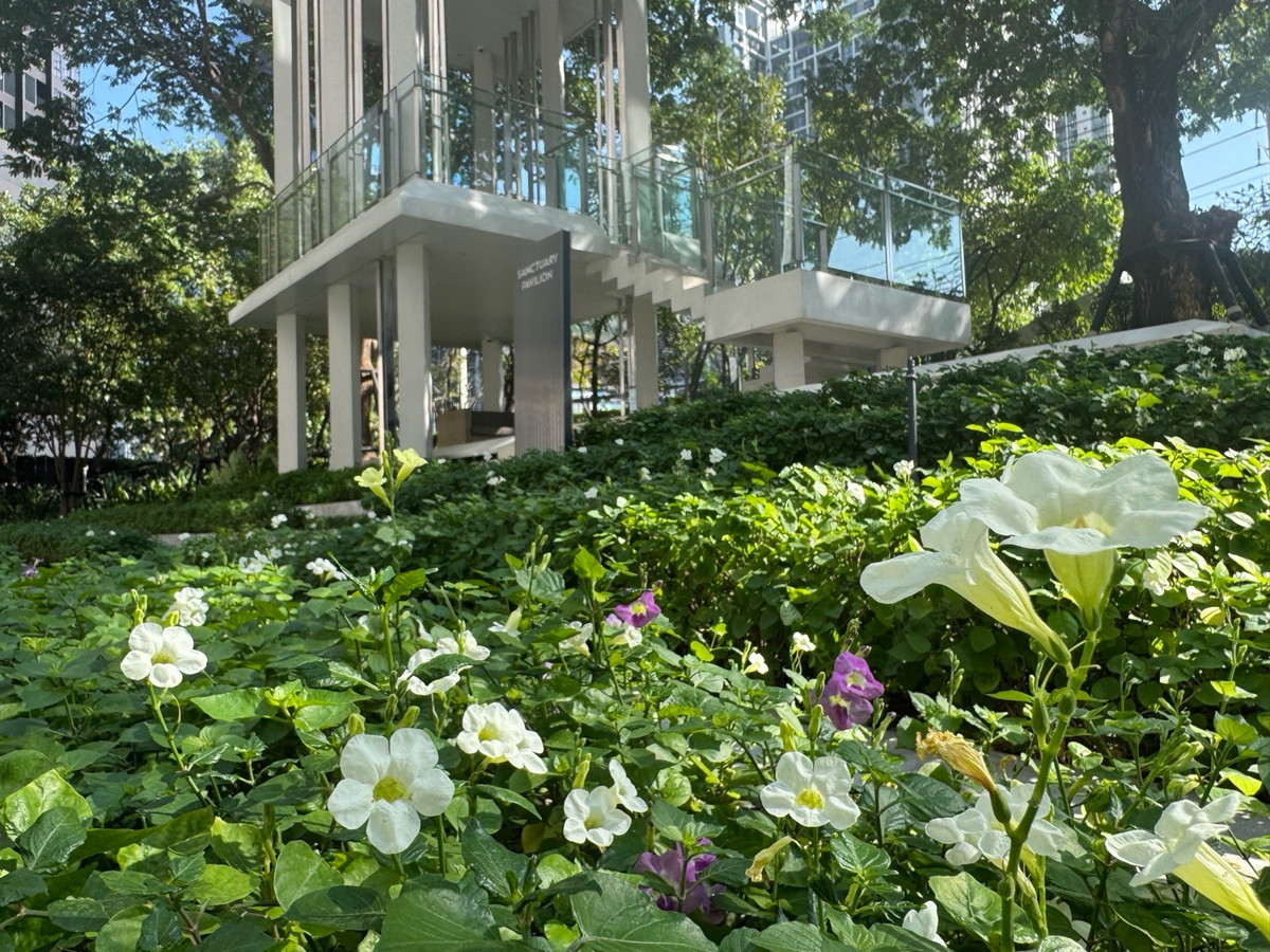 ให้เช่าคอนโดพระราม 9 เพชรบุรีตัดใหม่ RCA : 🔥ให้เช่าด่วน🔥ไลฟ์ อโศก - พระราม 9  วิวเมือง + Airport Rail Link  เฟอร์นิเจอร์ครบพร้อมเข้าอยู่ ติดรถไฟฟ้า เดินทางสะดวก