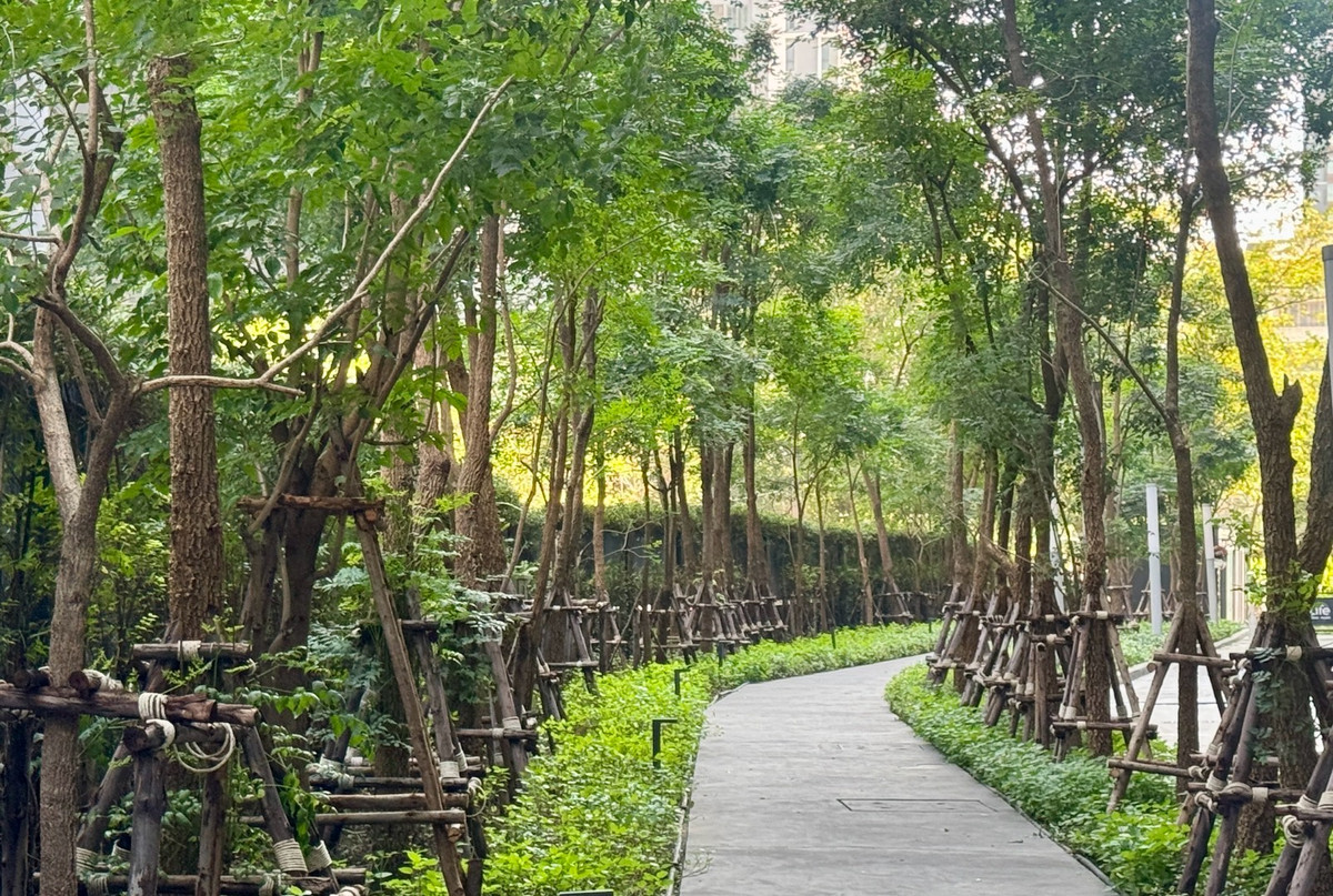 ให้เช่าคอนโดพระราม 9 เพชรบุรีตัดใหม่ RCA : 🔥ให้เช่าด่วน🔥ไลฟ์ อโศก - พระราม 9  วิวเมือง + Airport Rail Link  เฟอร์นิเจอร์ครบพร้อมเข้าอยู่ ติดรถไฟฟ้า เดินทางสะดวก