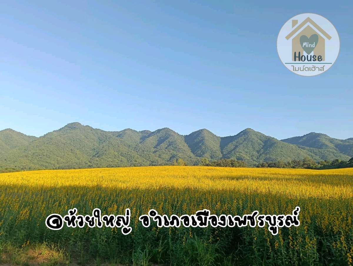 ขายที่ดินเพชรบูรณ์ : ⛳ที่ดินแปลงสวย วิวเขาค้อ ไม่ไกลเมือง ดินดี น้ำดี น้ำไม่ท่วม @ ห้วยใหญ่ อำเภอเมืองเพชรบูรณ์