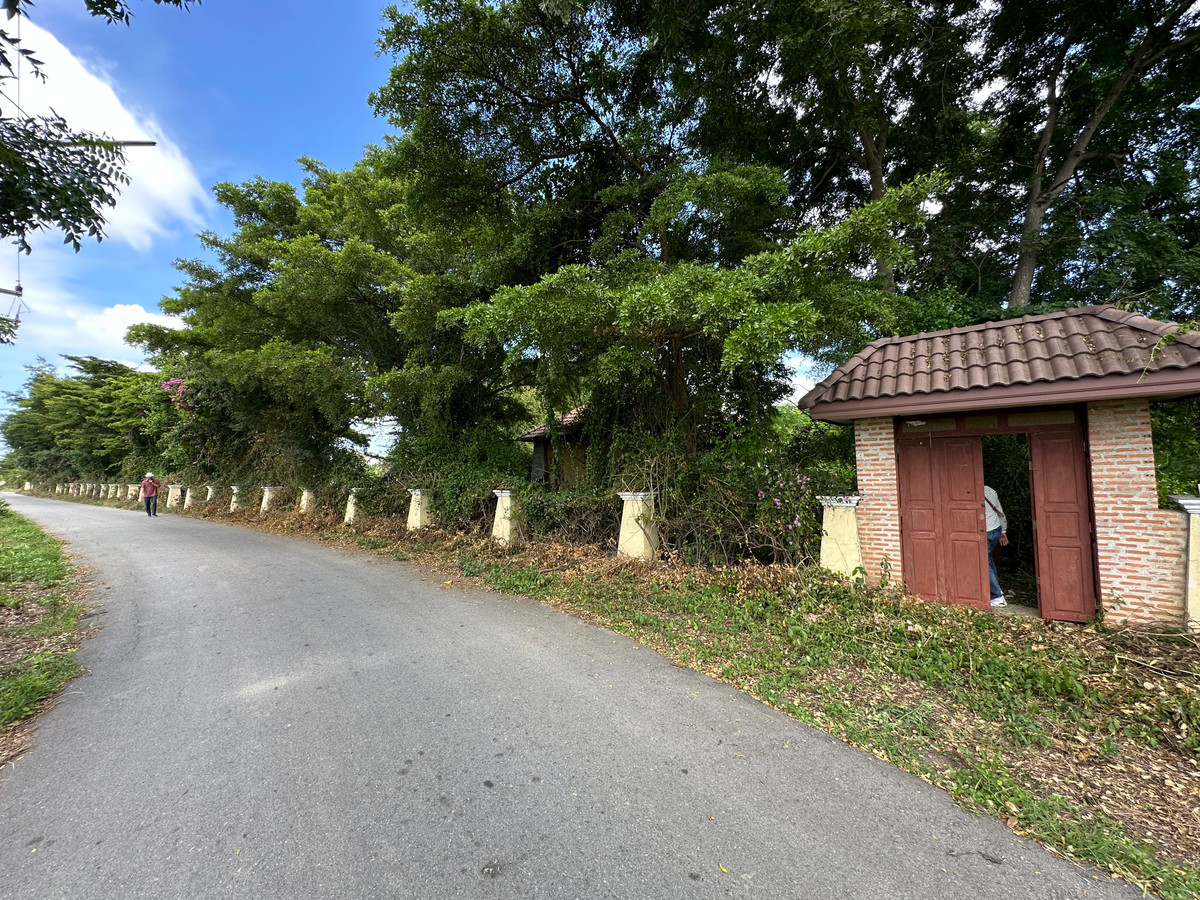 ขายบ้านสุพรรณบุรี : ขายบ้านพร้อมที่ดิน ดอนมะนาว สุพรรณบุรี | ที่ดินล้อมน้ำ 3 ด้าน | เหมาะทำบ้านสวน รีสอร์ต หรืออยู่อาศัย