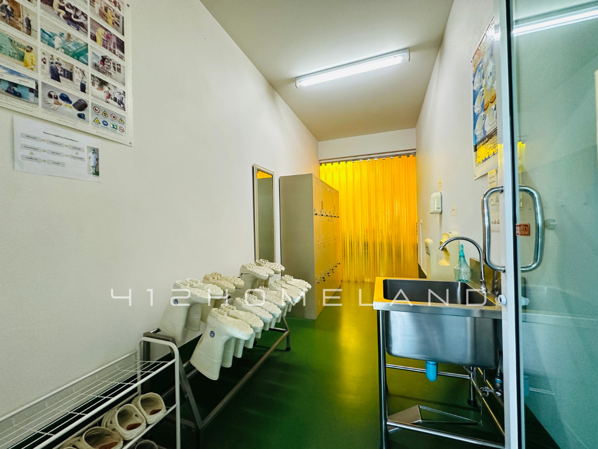 ขายโรงงานปทุมธานี รังสิต ธรรมศาสตร์ : ขายโรงงาน ขนาด 1,500 ตรม. ติดถนนเลียบคลอง 5 มีใบรับรอง อย./GMP/HACCP/รง.4 ครบ เดินเครื่องต่อได้ทันที คลองหลวง ปทุมธานี