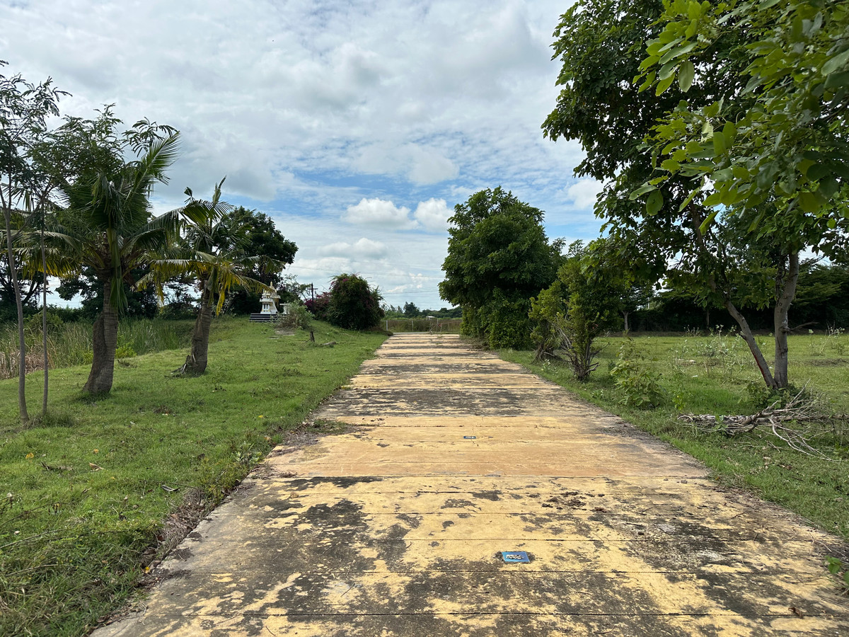 ขายบ้านสุพรรณบุรี : ขายบ้านพร้อมที่ดิน ดอนมะนาว สุพรรณบุรี | ที่ดินล้อมน้ำ 3 ด้าน | เหมาะทำบ้านสวน รีสอร์ต หรืออยู่อาศัย