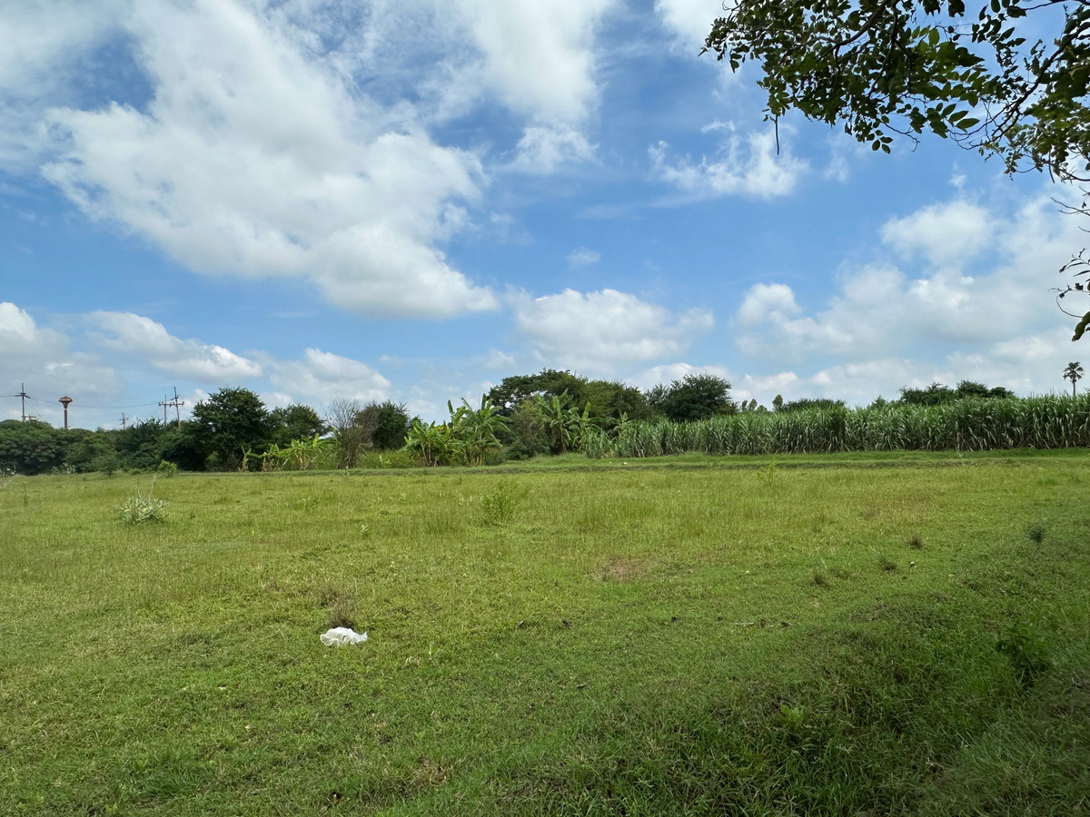 ขายบ้านสุพรรณบุรี : ขายบ้านพร้อมที่ดิน ดอนมะนาว สุพรรณบุรี | ที่ดินล้อมน้ำ 3 ด้าน | เหมาะทำบ้านสวน รีสอร์ต หรืออยู่อาศัย