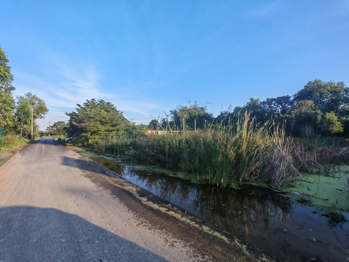 For SaleLandNonthaburi, Bang Yai, Bangbuathong : Land for sale in Bang Yai, Nonthaburi, Soi Mu Ban Keha Kaset 43