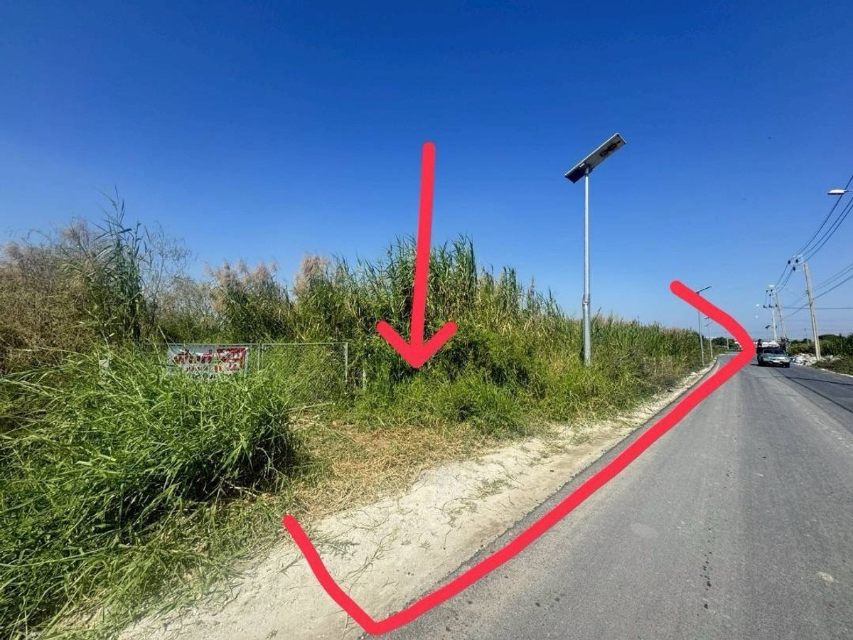 ขายที่ดินสมุทรปราการ สำโรง : ขายถูกมาก! ที่ดินแปลงใหญ่ 67-0-76 ไร่ ลาดหวาย ต.บางเพรียง อ.บางบ่อ จ.สมุทรปราการ
