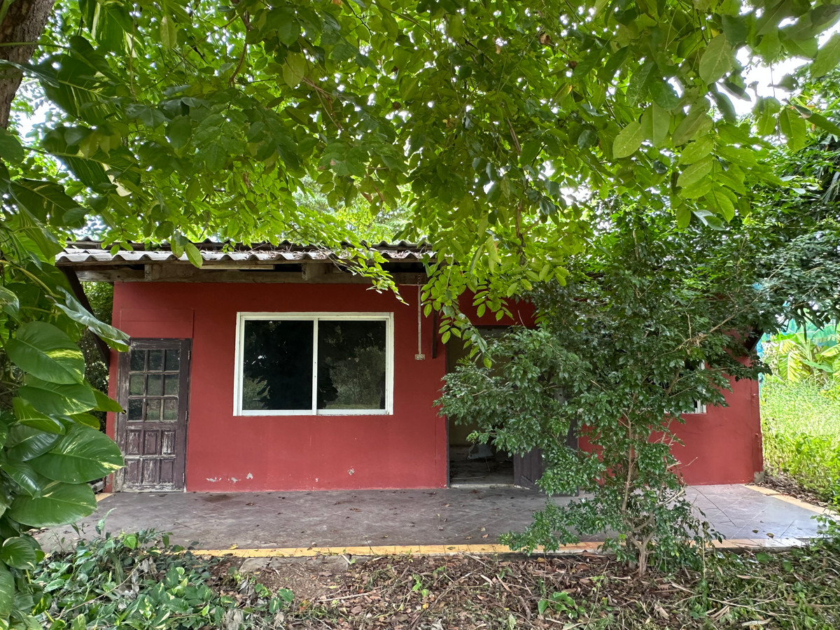 ขายบ้านสุพรรณบุรี : ขายบ้านพร้อมที่ดิน ดอนมะนาว สุพรรณบุรี | ที่ดินล้อมน้ำ 3 ด้าน | เหมาะทำบ้านสวน รีสอร์ต หรืออยู่อาศัย