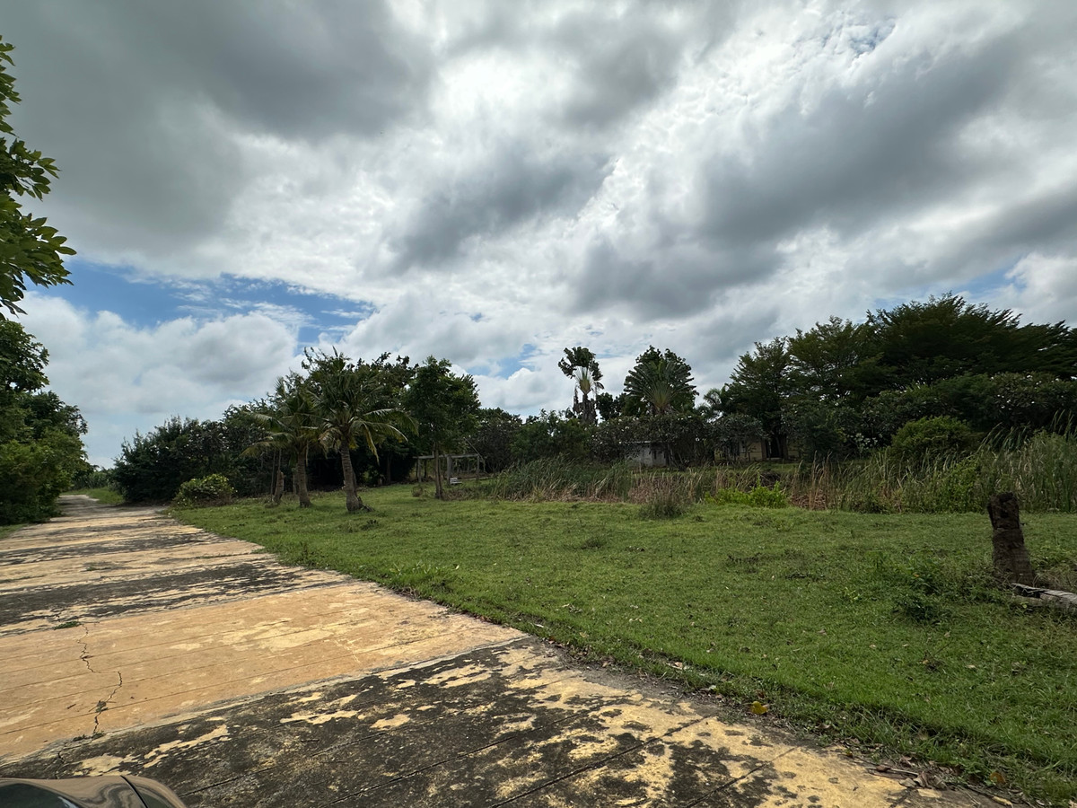 ขายบ้านสุพรรณบุรี : ขายบ้านพร้อมที่ดิน ดอนมะนาว สุพรรณบุรี | ที่ดินล้อมน้ำ 3 ด้าน | เหมาะทำบ้านสวน รีสอร์ต หรืออยู่อาศัย