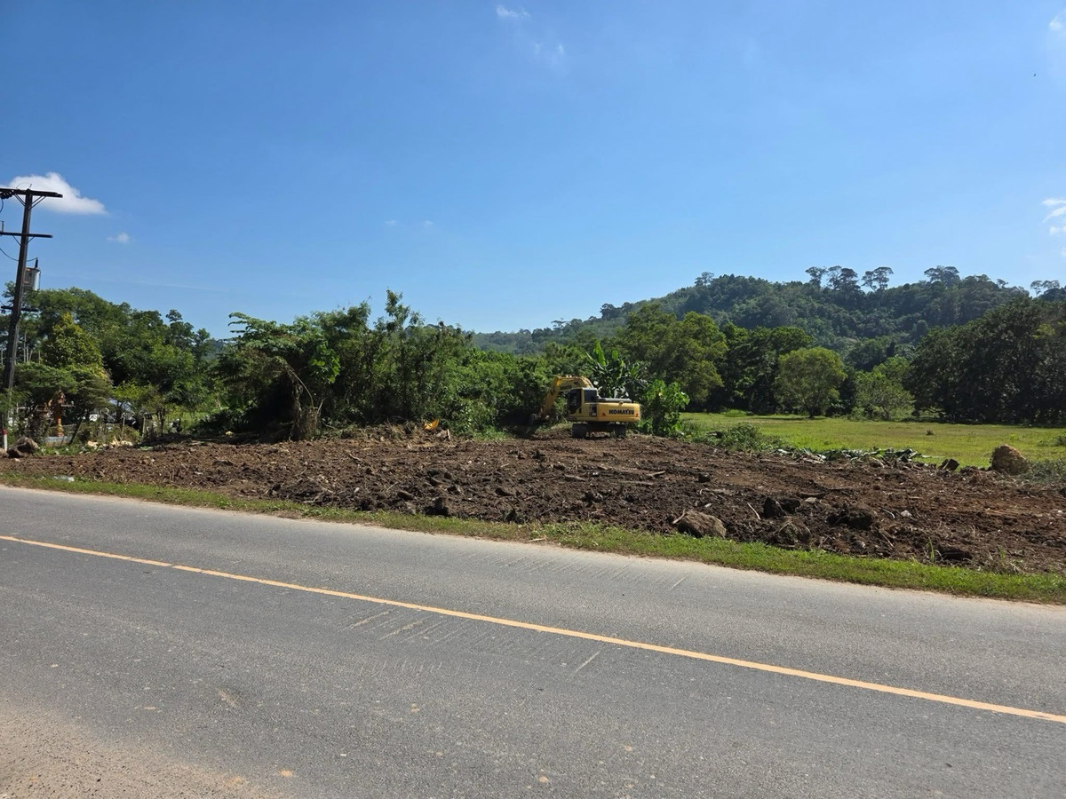 For SaleLandPhuket : Land in Phuket, good location, close to the sea, just 4 minutes.