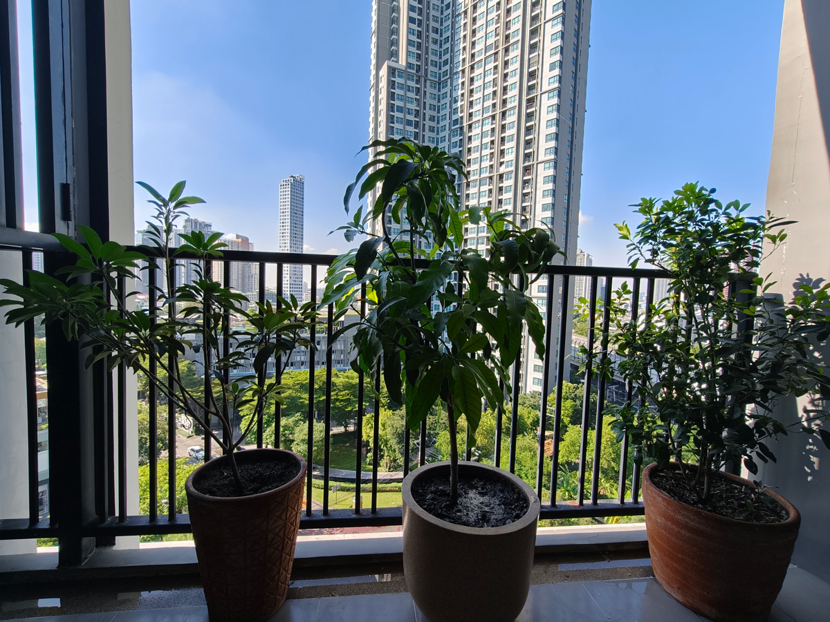 ขายคอนโดอ่อนนุช อุดมสุข : ห้องที่คุ้มค่าที่สุดที่จะซื้อที่ The Base Park East ห้อง Rare Item ใหญ่พิเศษมีเพียงชั้นละห้อง