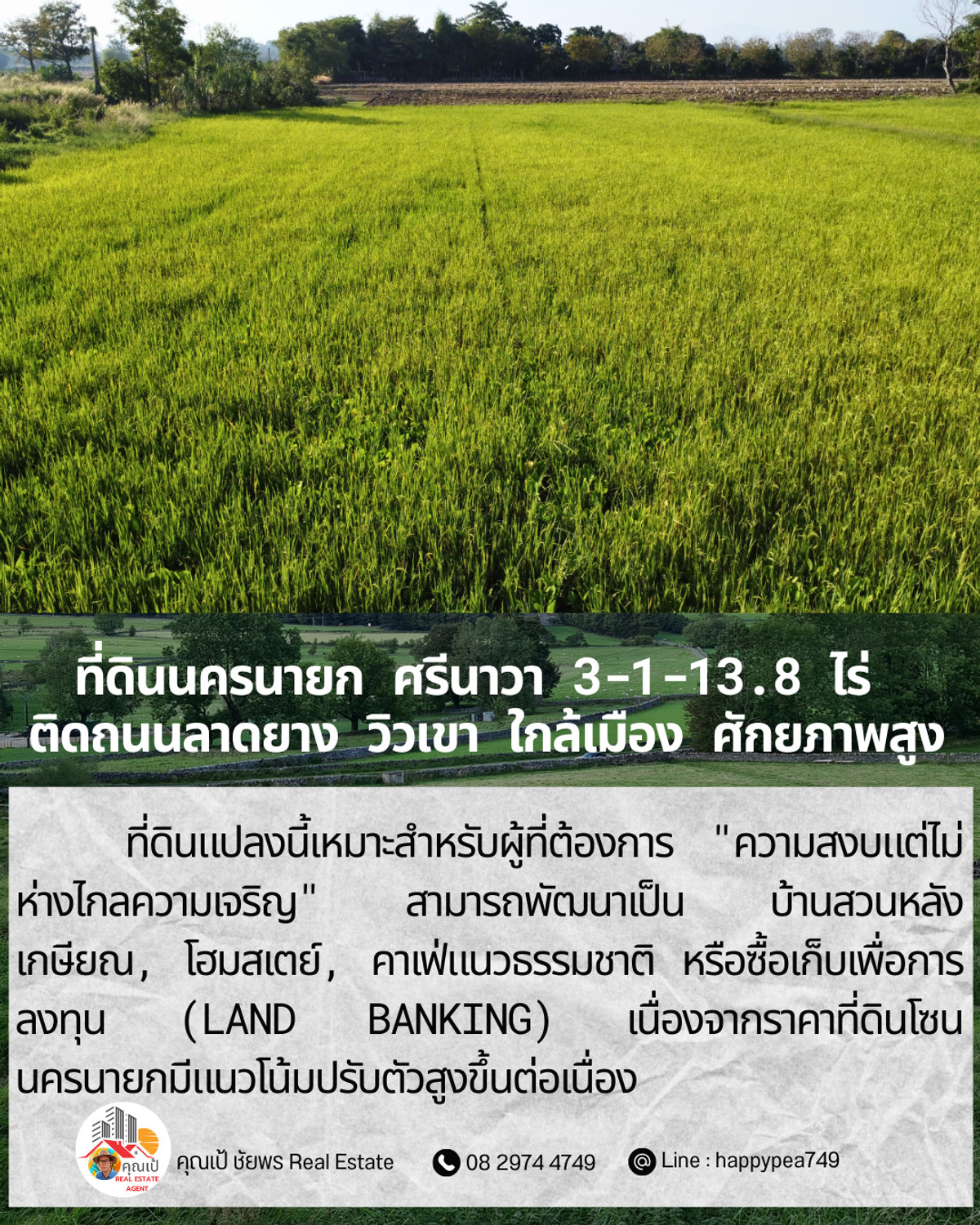 ขายที่ดินนครนายก : ขายที่ดินนครนายก ศรีนาวา 3-1-13.8 ไร่ ติดถนนลาดยาง วิวเขา ใกล้เมือง ราคาพิเศษก่อนสิ้นปี