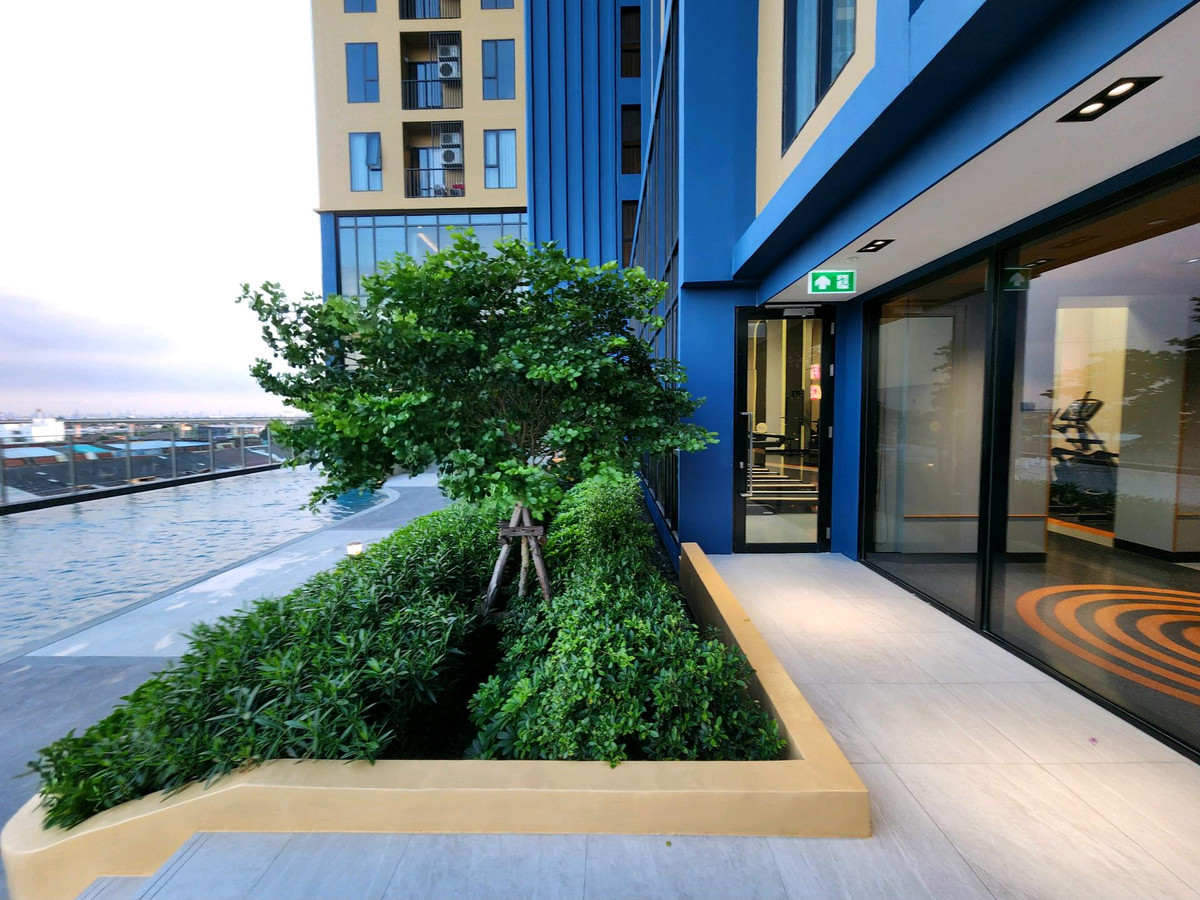 ให้เช่าคอนโดนนทบุรี บางใหญ่ บางบัวทอง : **ห้องไม่ว่างครับผม มีโซนแต่งตัว ตู้เสื้อผ้า 2 ตู้**ให้เช่า! ห้องใหม่ แปลนใหม่ (มือ 1) PLUM CONDO NEW WEST ติดเซ็นทรัล เวสต์เกต ทิศตะวันออก ไม่ร้อน