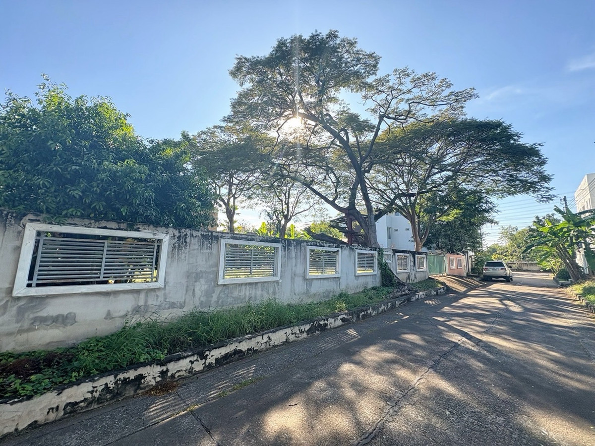 ขายที่ดินแจ้งวัฒนะ เมืองทอง : ขายที่ดินแปลงสวย ร่มรื่น ในซอยแจ้งวัฒนะ14 เหมาะสร้างที่พักอาศัย