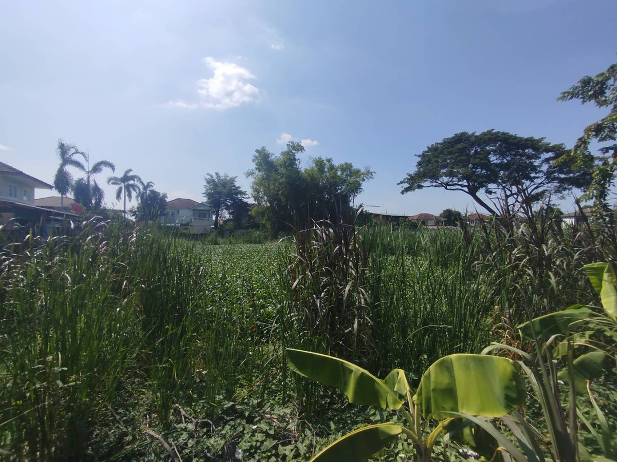 ขายที่ดินนนทบุรี บางใหญ่ บางบัวทอง : ขายบ้านกับที่ดิน 719 ตรว. ในหมู่บ้านมิตรประชาวิลล่า ซอยคลองถนน