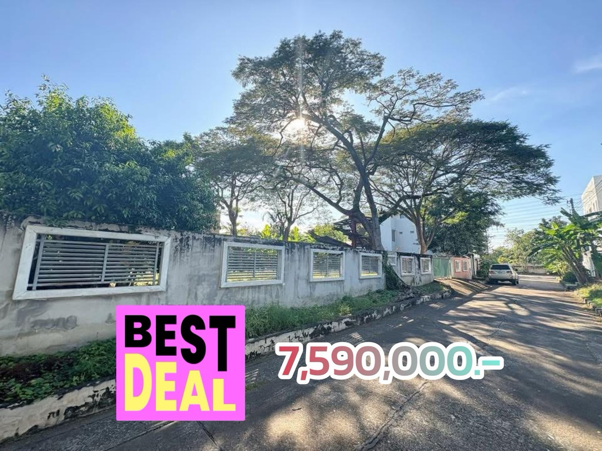 For SaleLandChaengwatana, Muangthong : Beautiful, shady plot of land for sale in Soi Chaengwattana 14. Suitable for building a residence.