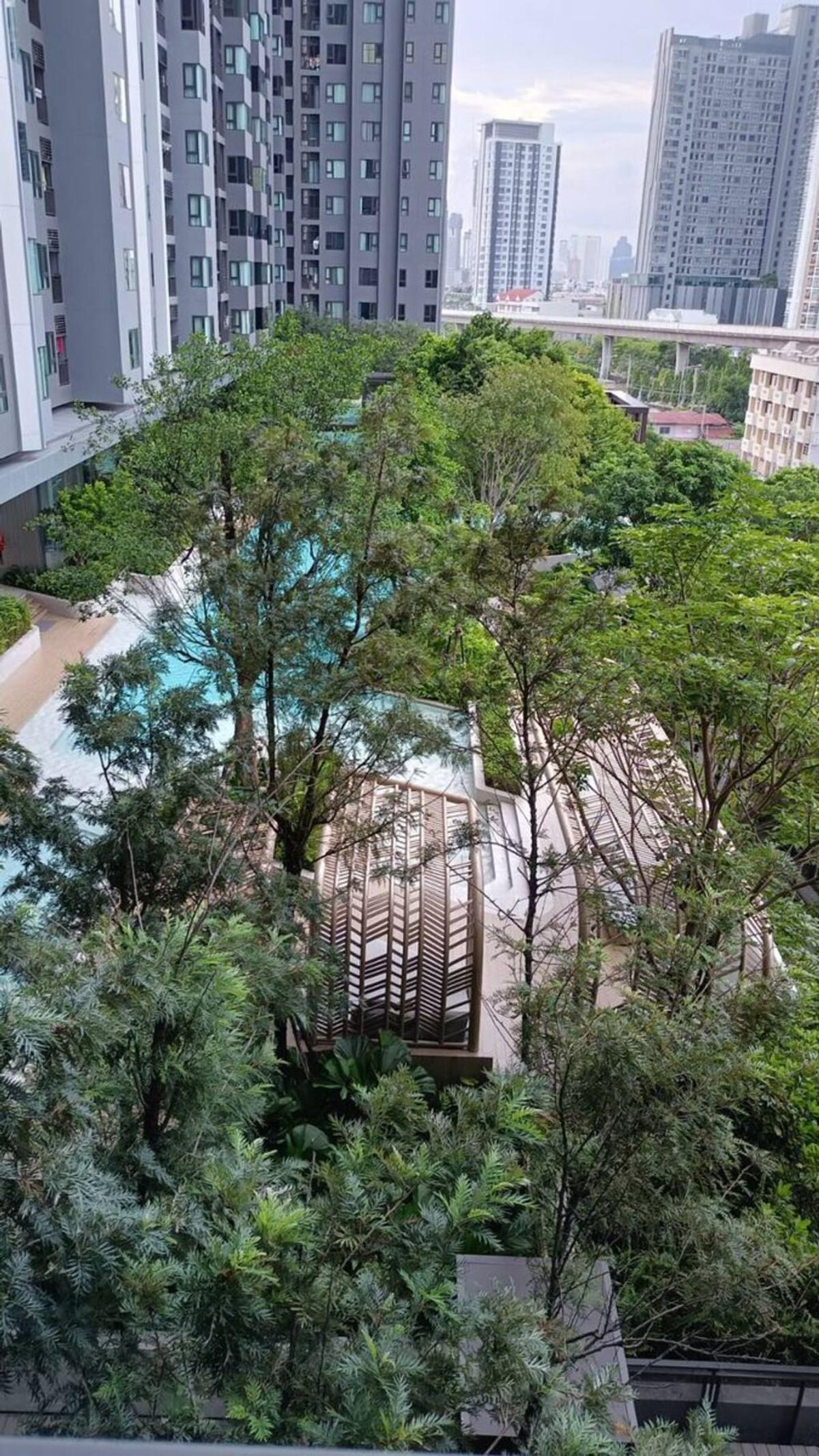 ให้เช่าคอนโดท่าพระ ตลาดพลู วุฒากาศ : ให้ เช่า ไลฟ์ สาธร เซียร่า(วิวสระ) 99/185