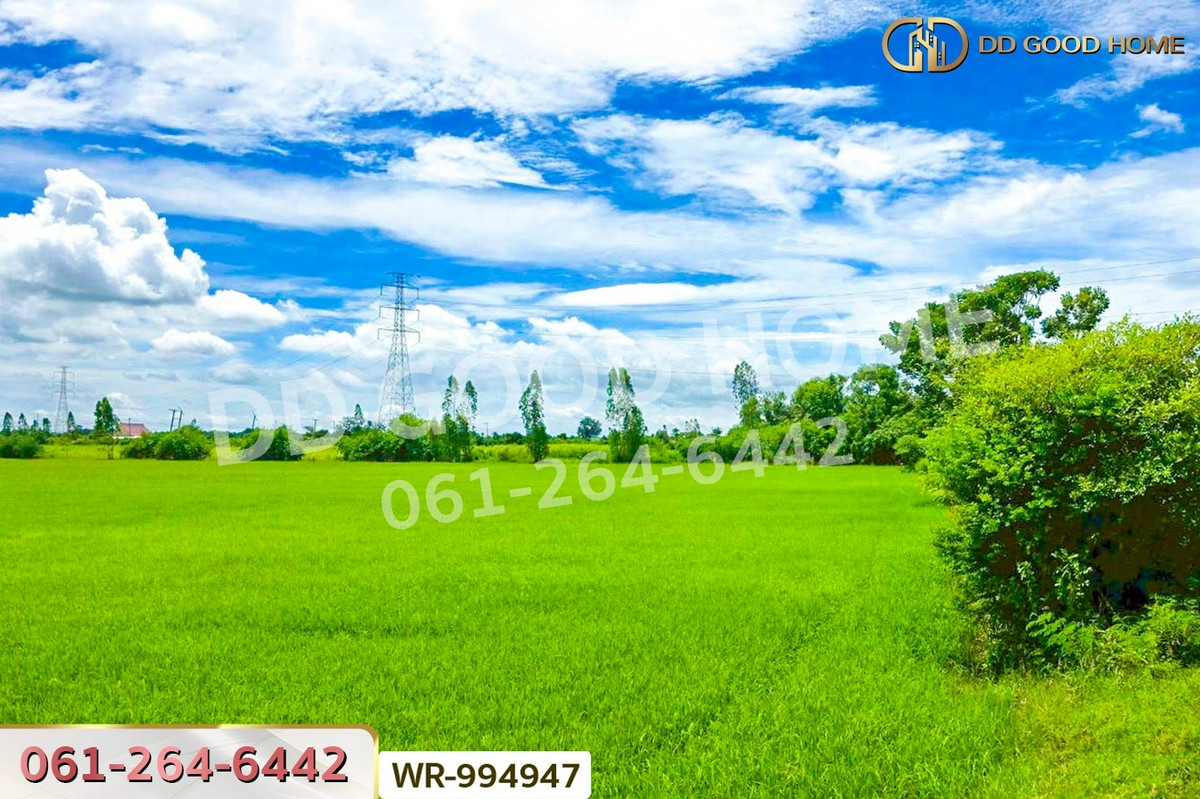 ขายที่ดินกาญจนบุรี : WR-994947 ที่ดินท่ามะกา 10 ไร่ 30 ตร.ว. กาญจนบุรี ใกล้สำนักงานขนส่งจังหวัดกาญจนบุรี (สาขาอำเภอท่ามะกา)