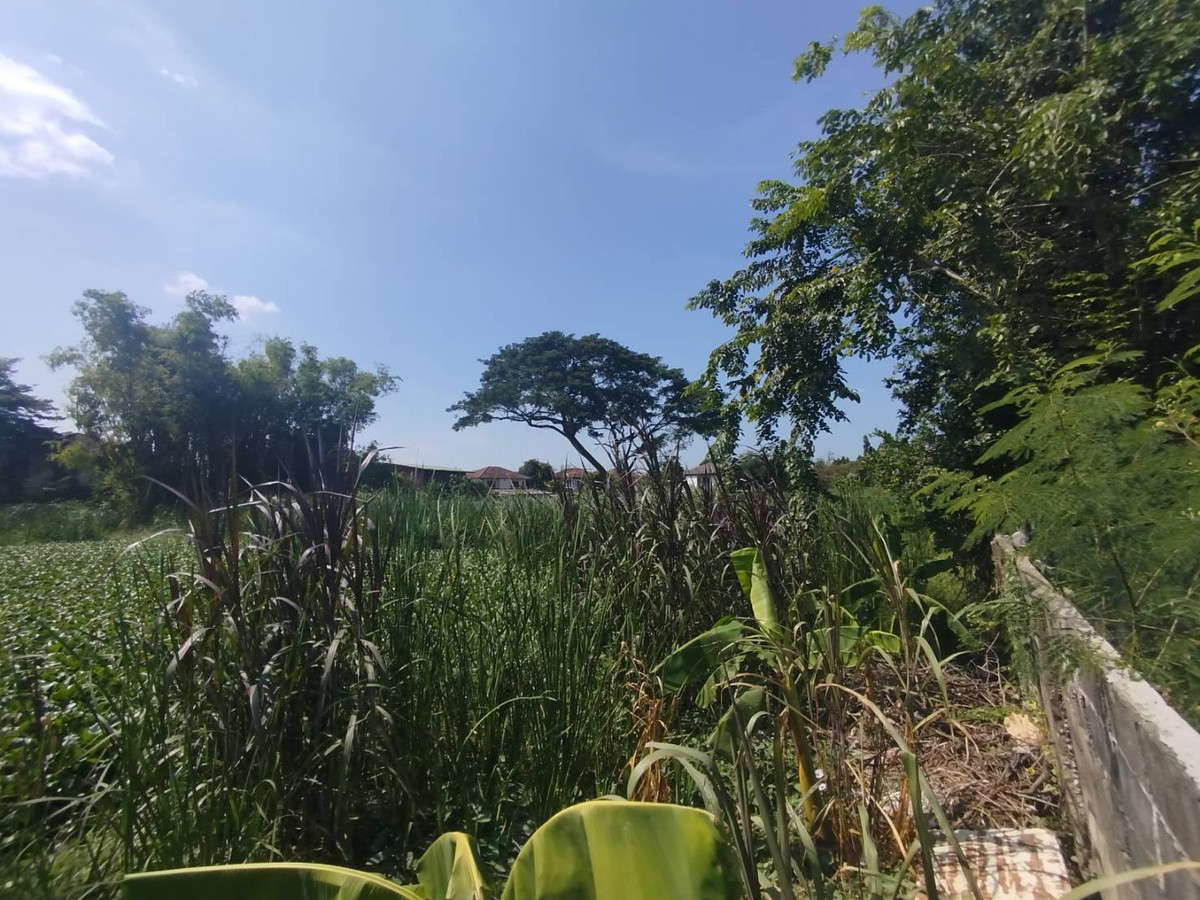 ขายที่ดินนนทบุรี บางใหญ่ บางบัวทอง : ขายบ้านกับที่ดิน 719 ตรว. ในหมู่บ้านมิตรประชาวิลล่า ซอยคลองถนน