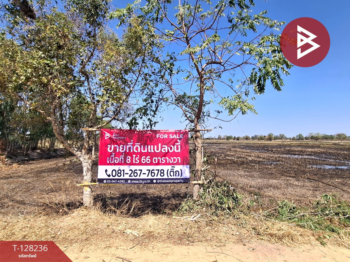 ขายที่ดินร้อยเอ็ด : ขายที่ดิน เนื้อที่ 8 ไร่ 66 ตร.วา จังหาร ร้อยเอ็ด