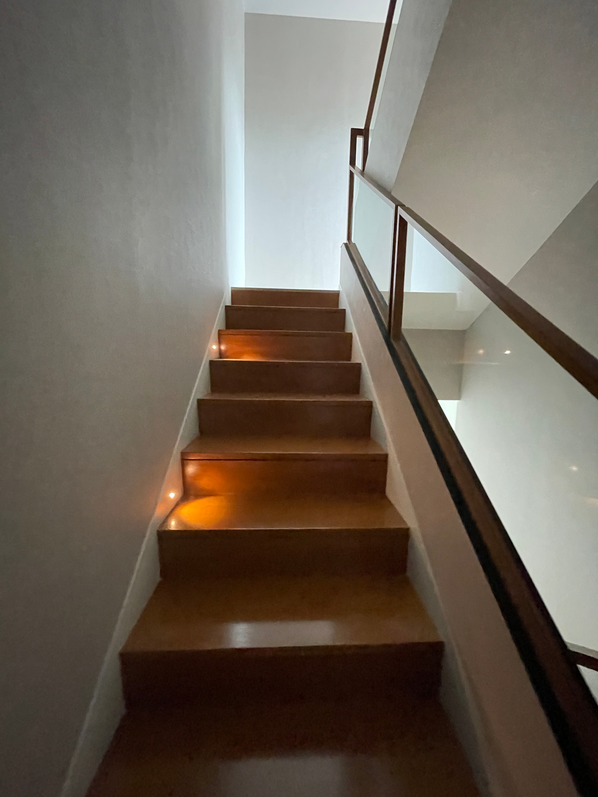 ขายบ้านพัฒนาการ ศรีนครินทร์ : ขายบ้านเดี่ยวหรู 4 ชั้น ZENITH 5 RESIDENCES ศรีนครินทร์ หลัง Paradise Park พื้นที่ใช้สอย 531 ตร.ม. ใกล้รถไฟฟ้าสายสีเหลือง