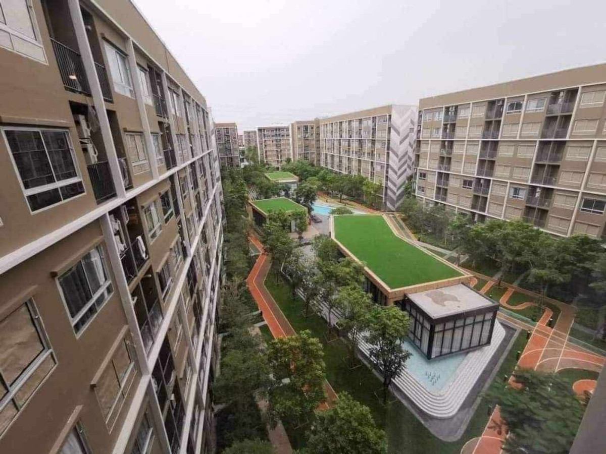 ขายคอนโดปทุมธานี รังสิต ธรรมศาสตร์ : 📢ขายด่วน! Plum Condo Rangsit Alive 1 , พร้อมผู้เช่า, Studio, ชั้น 7, 26.80 ตรม.